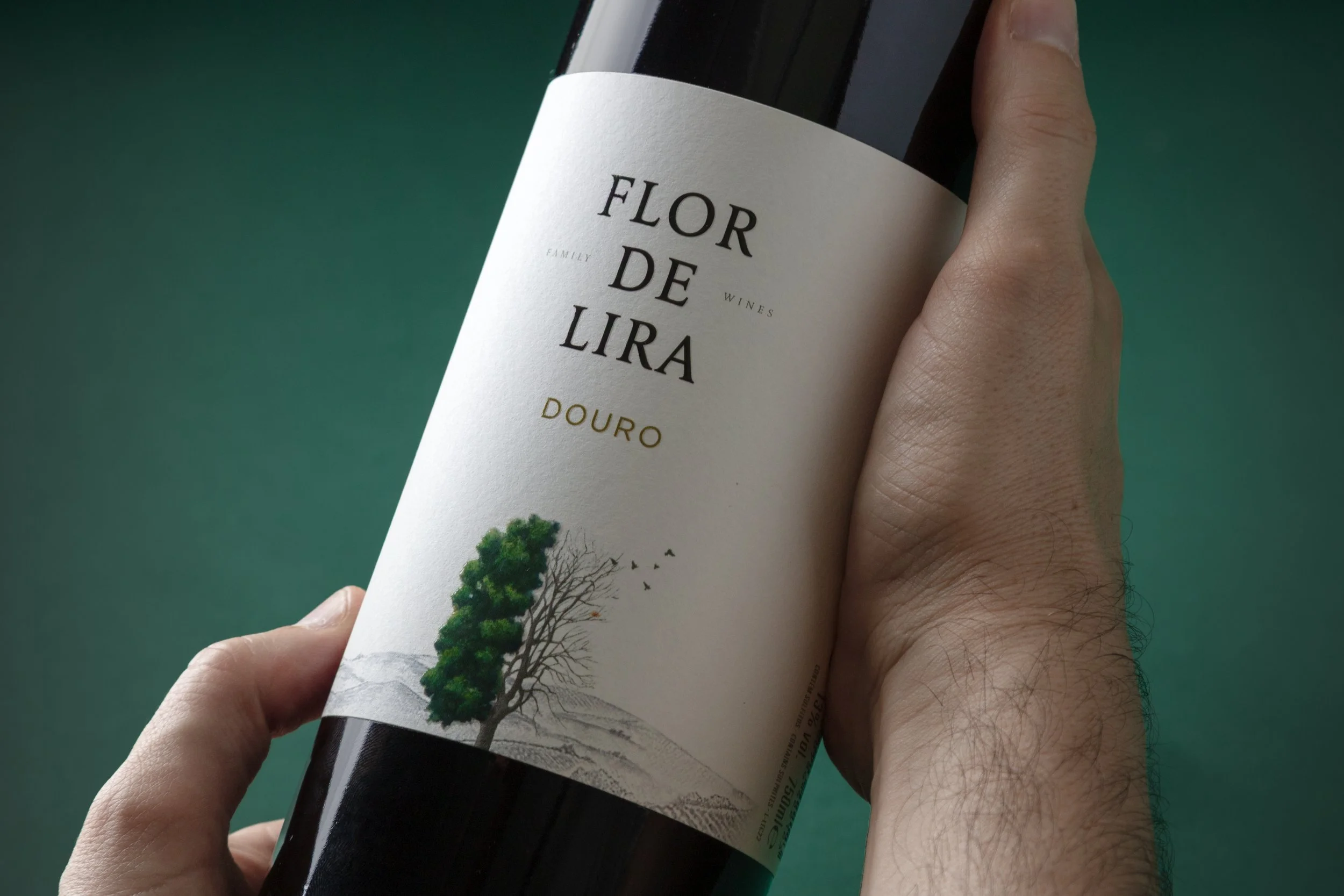 moco_flor_lira_005.jpg