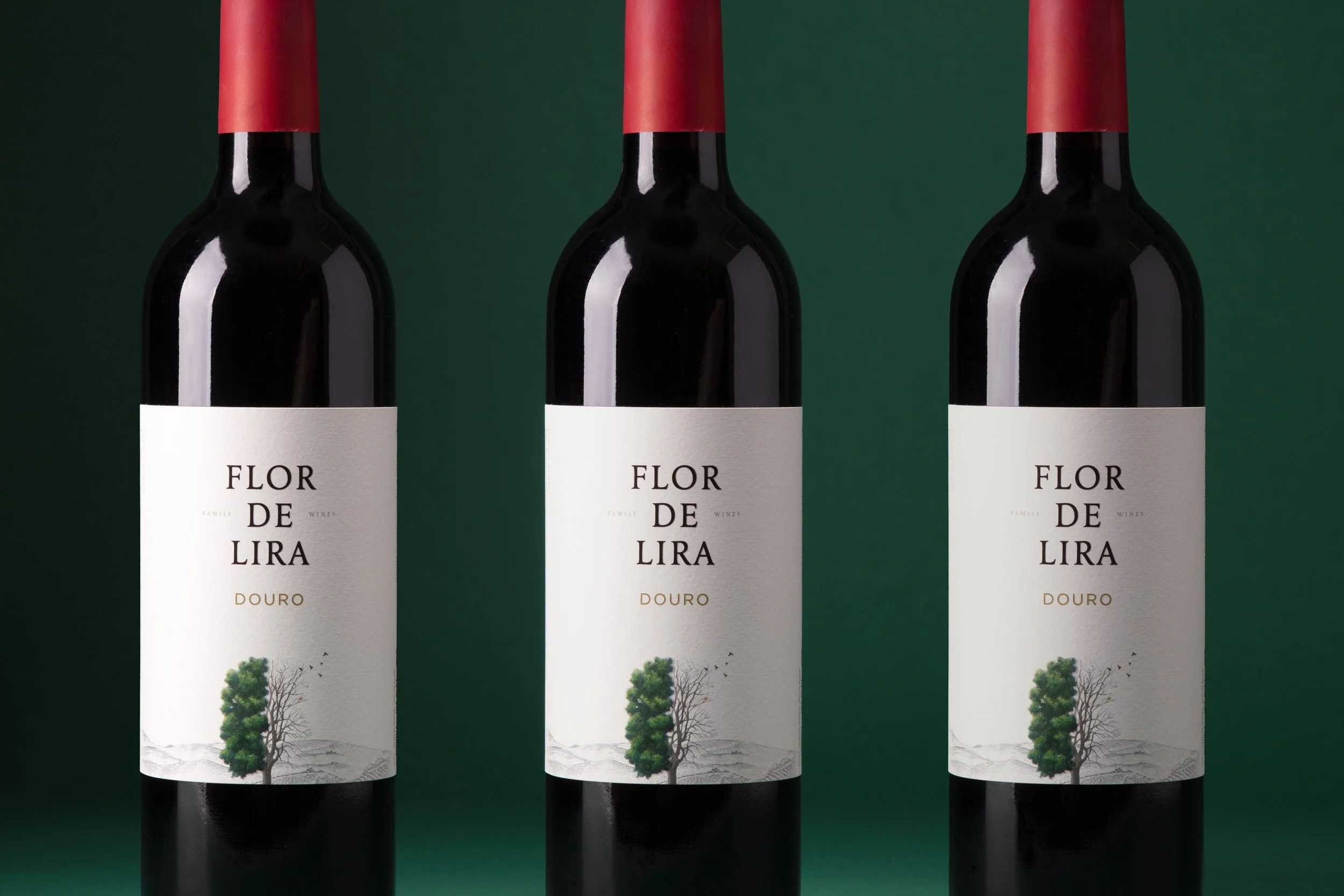 moco_flor_lira_004.jpg