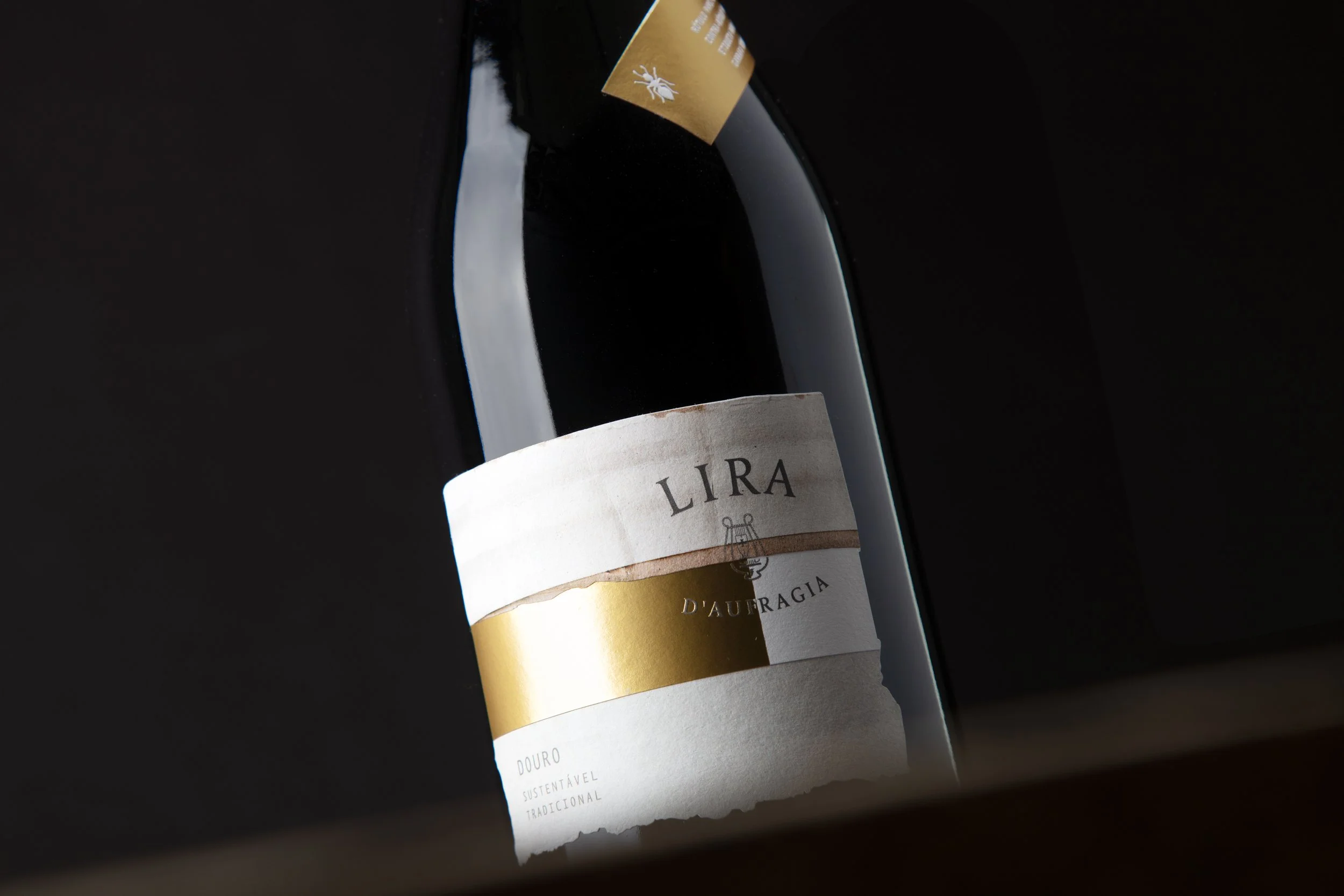 moco_lira_007.jpg
