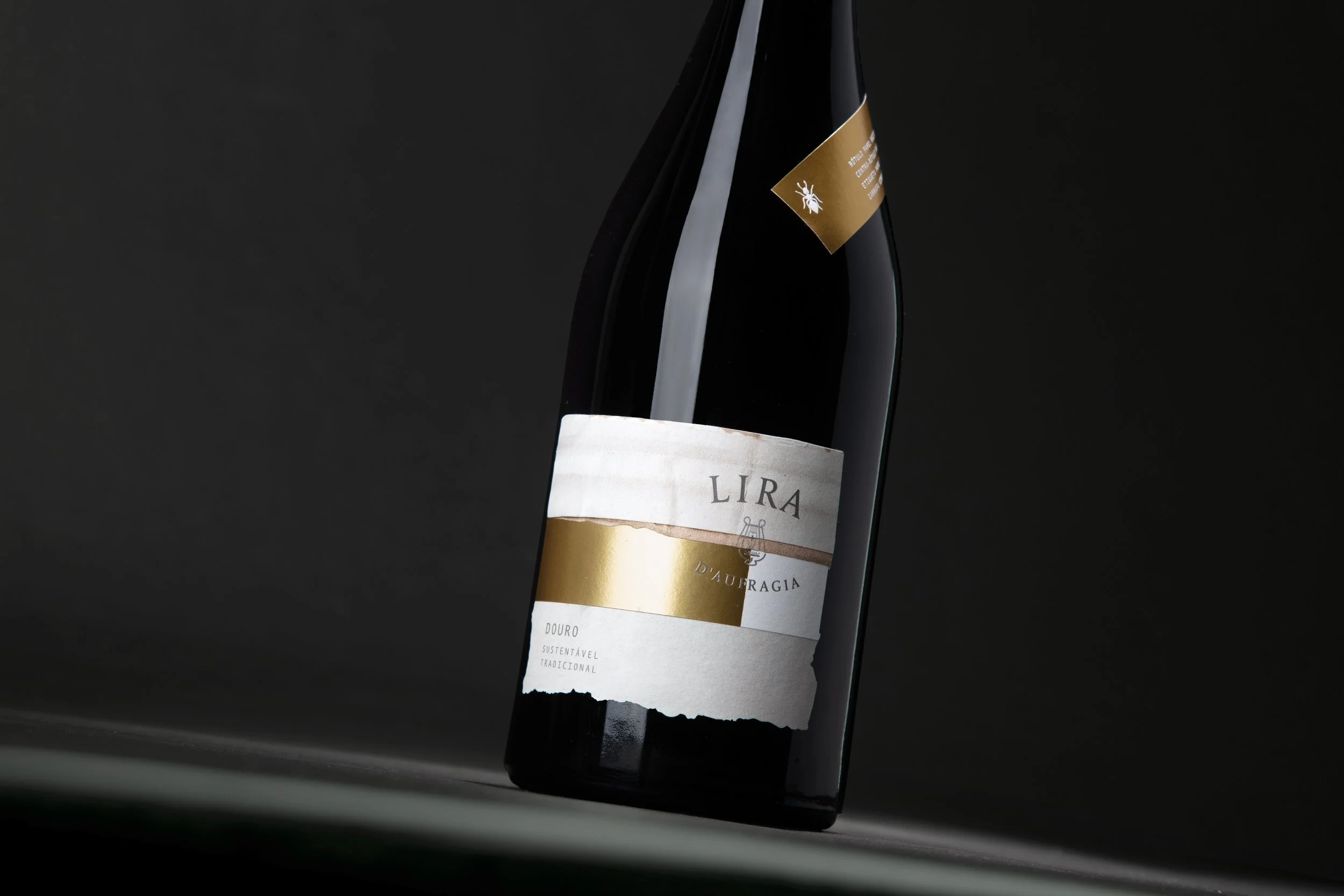 moco_lira_003.jpg