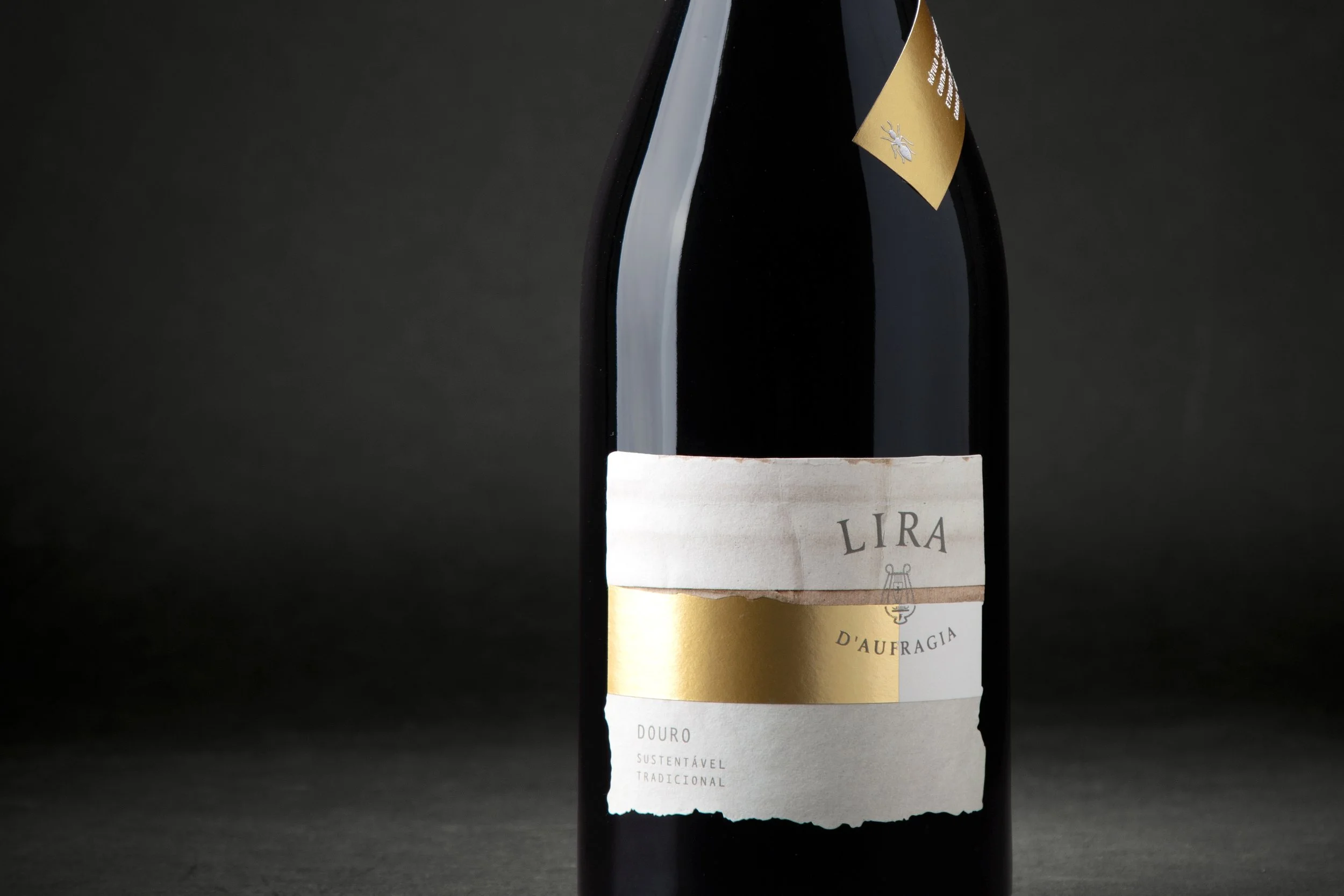 moco_lira_011.jpg