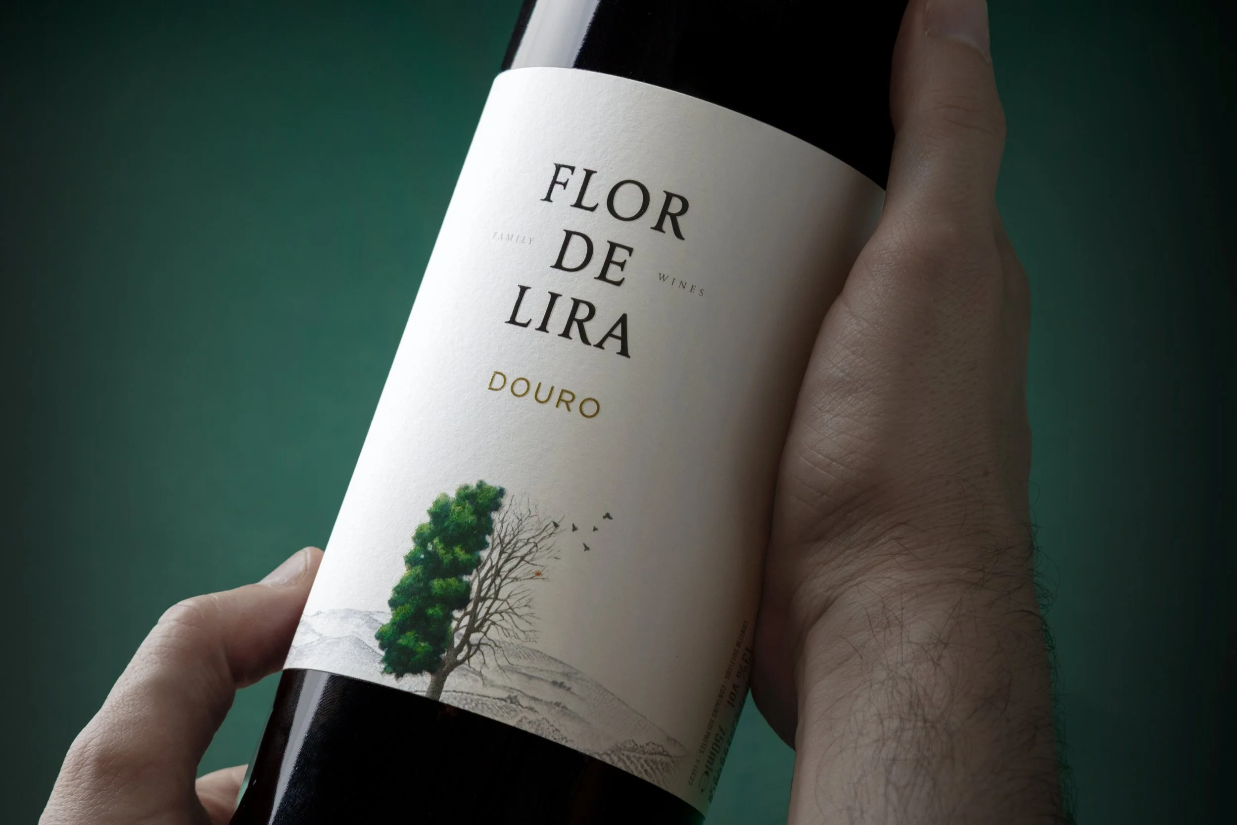 moco_flor_lira_005.jpg