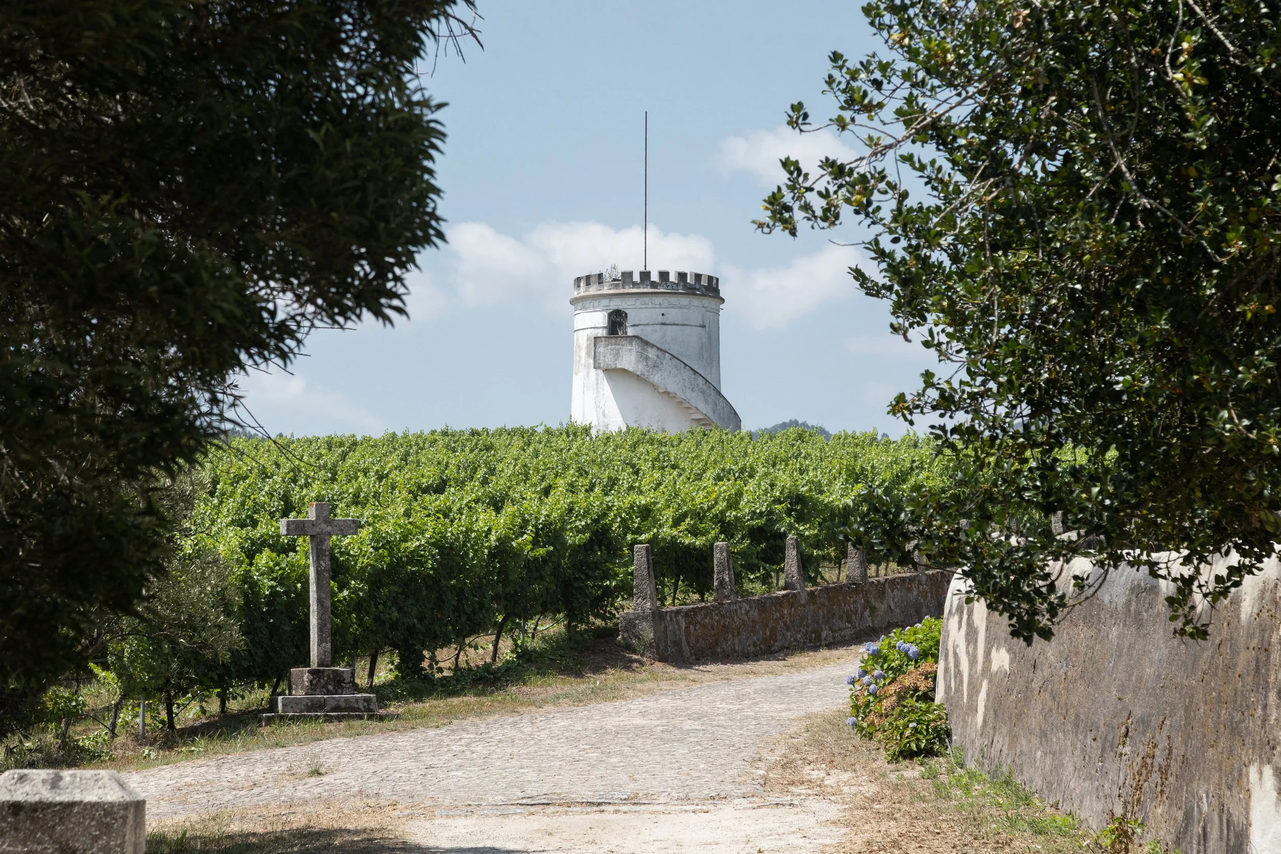 moco_qta_salvador_torre_010.jpg
