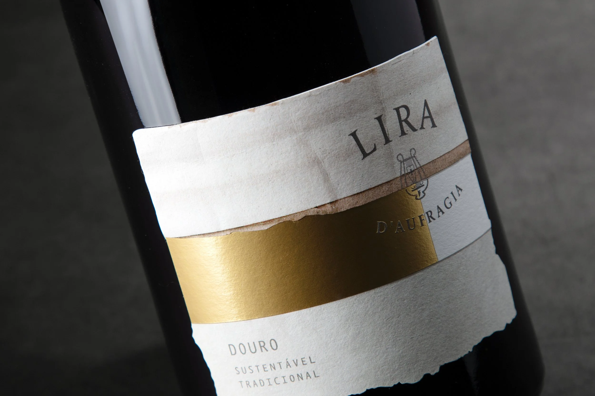 moco_lira_008.jpg