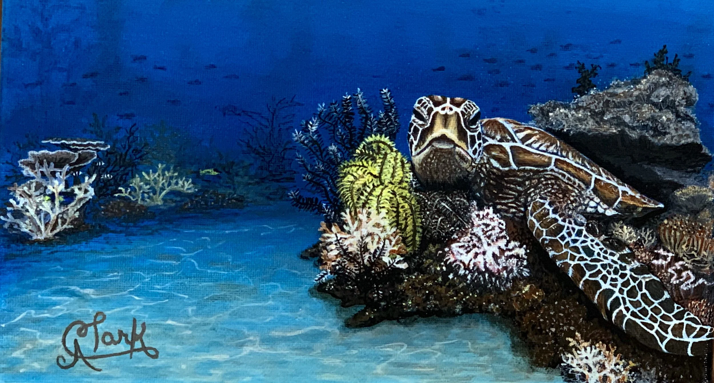 Sea Turtle by Clark Fine Art
