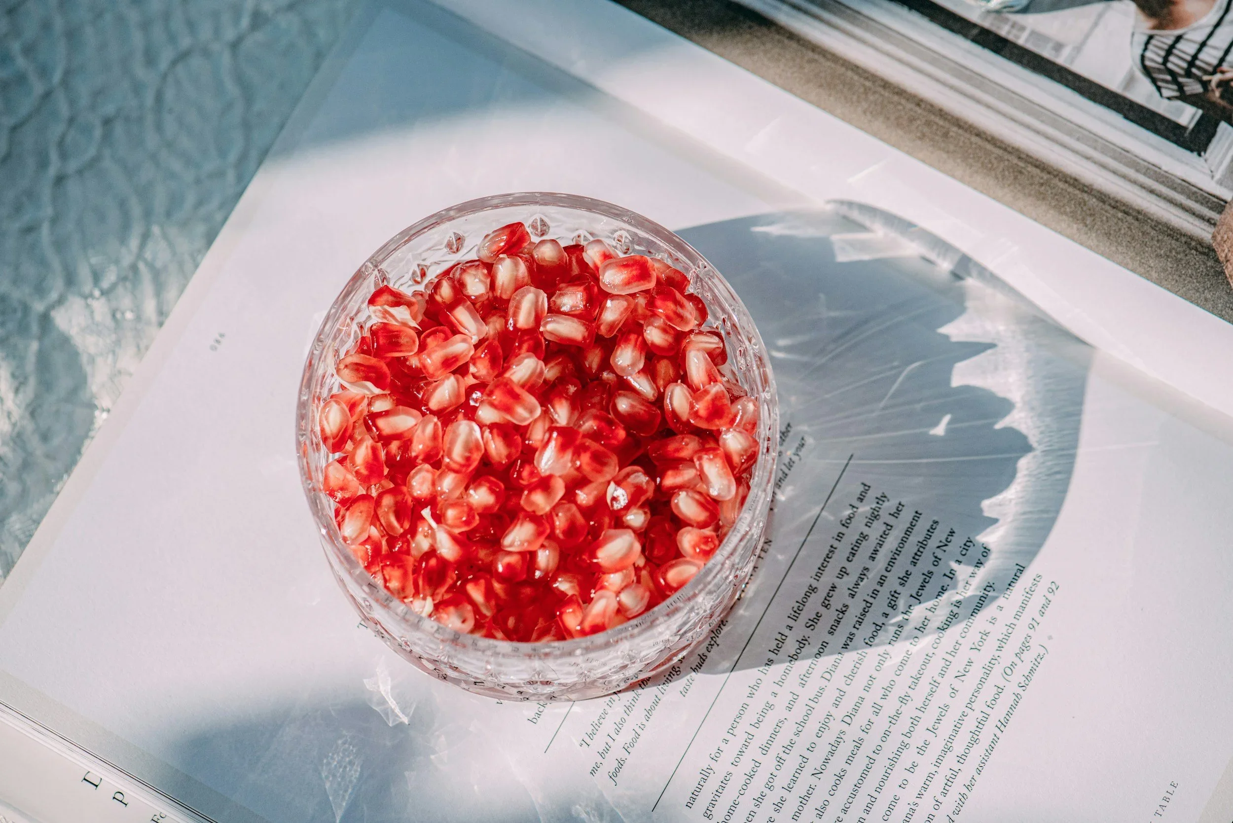 Boosting Akkermansia: The Gut Microbe That Could Change Everything for Your Health