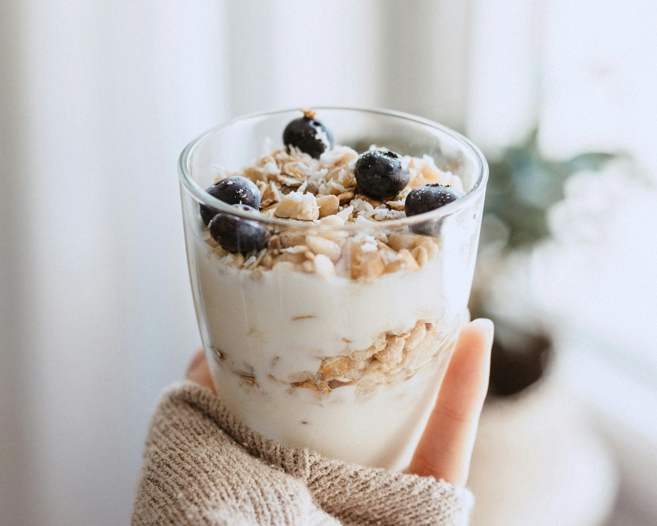 Japanese Yogurt Cookie Cup 