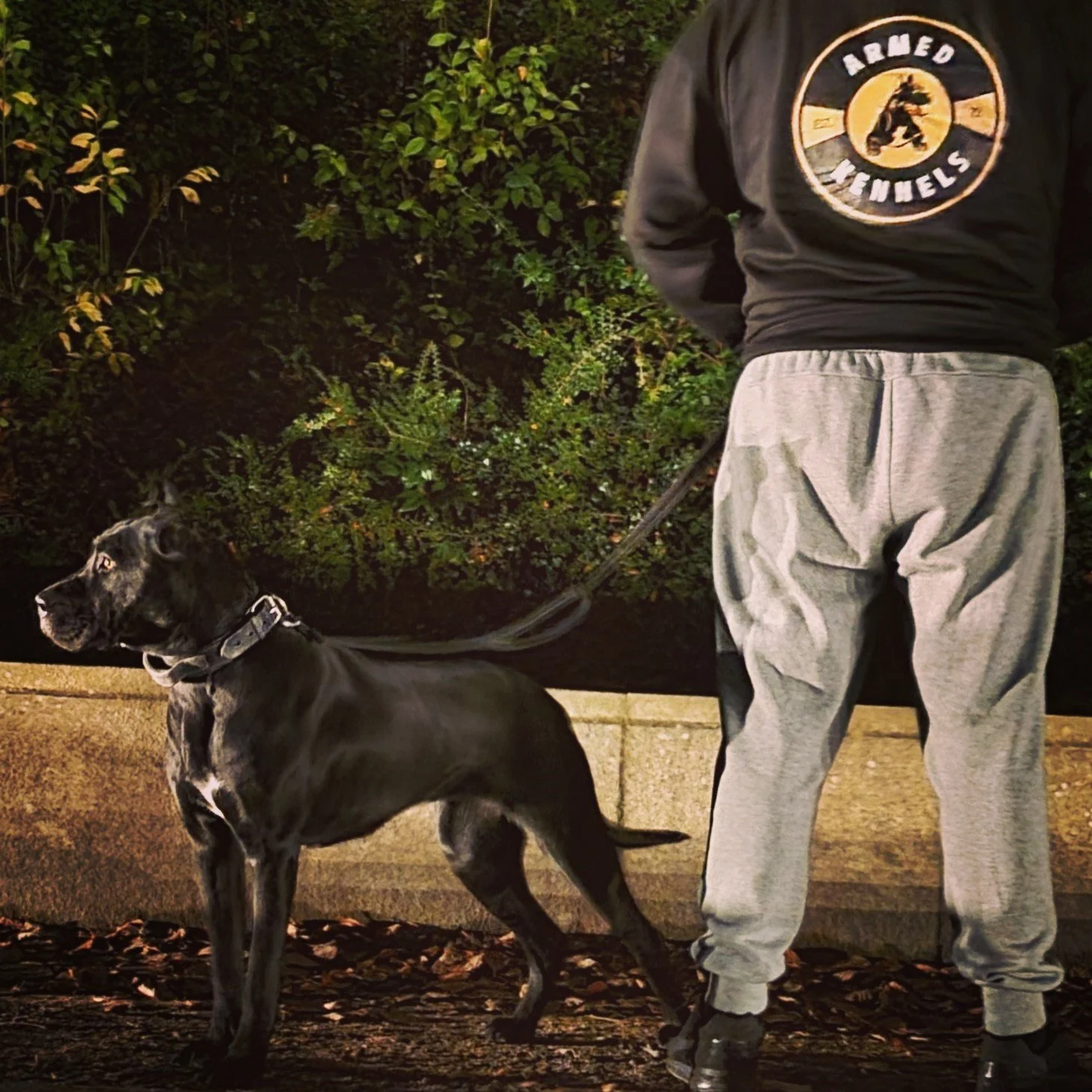 Security Uniform .jpg