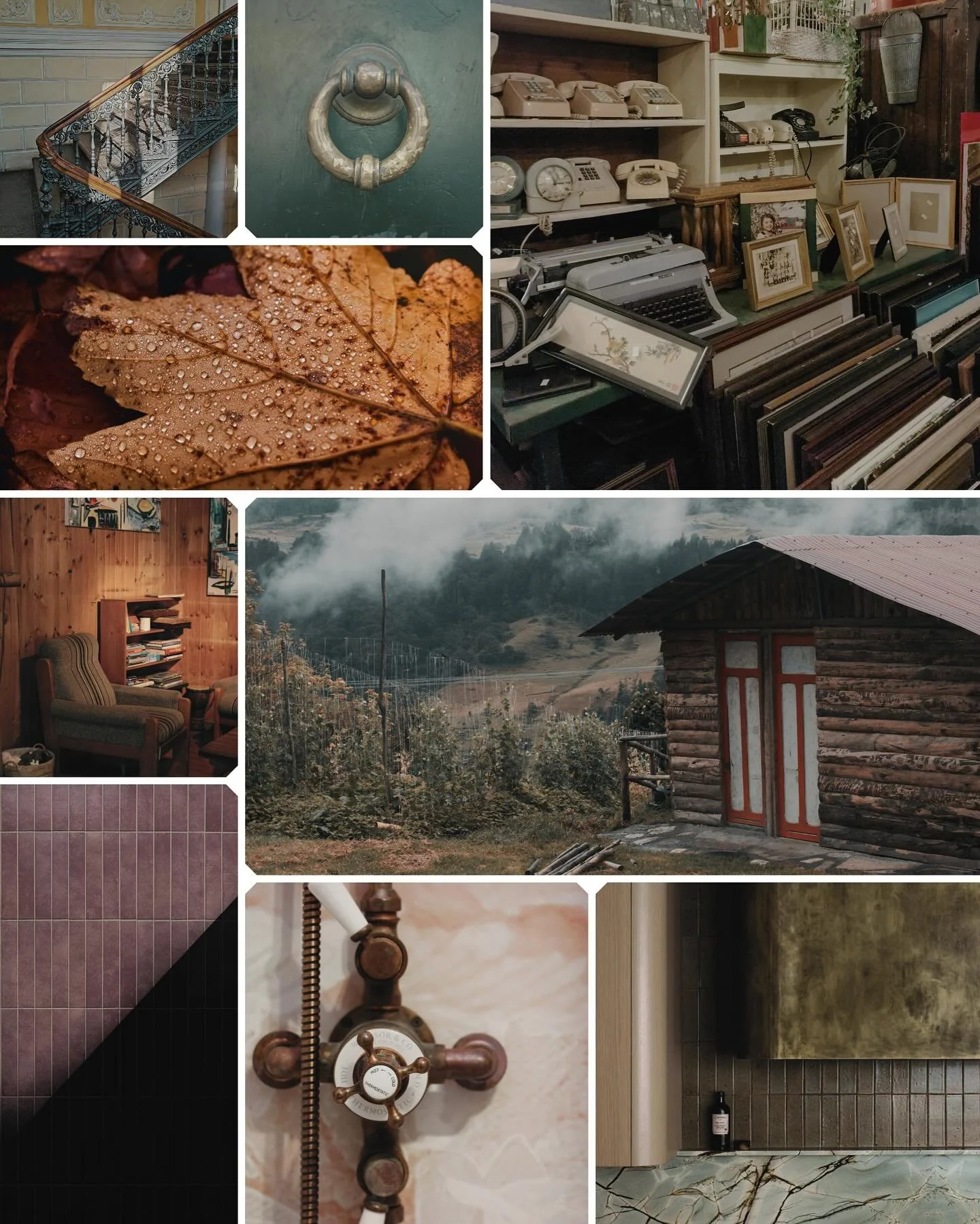 Fall mood board&hellip; or inspo for your next design project?! 🍁