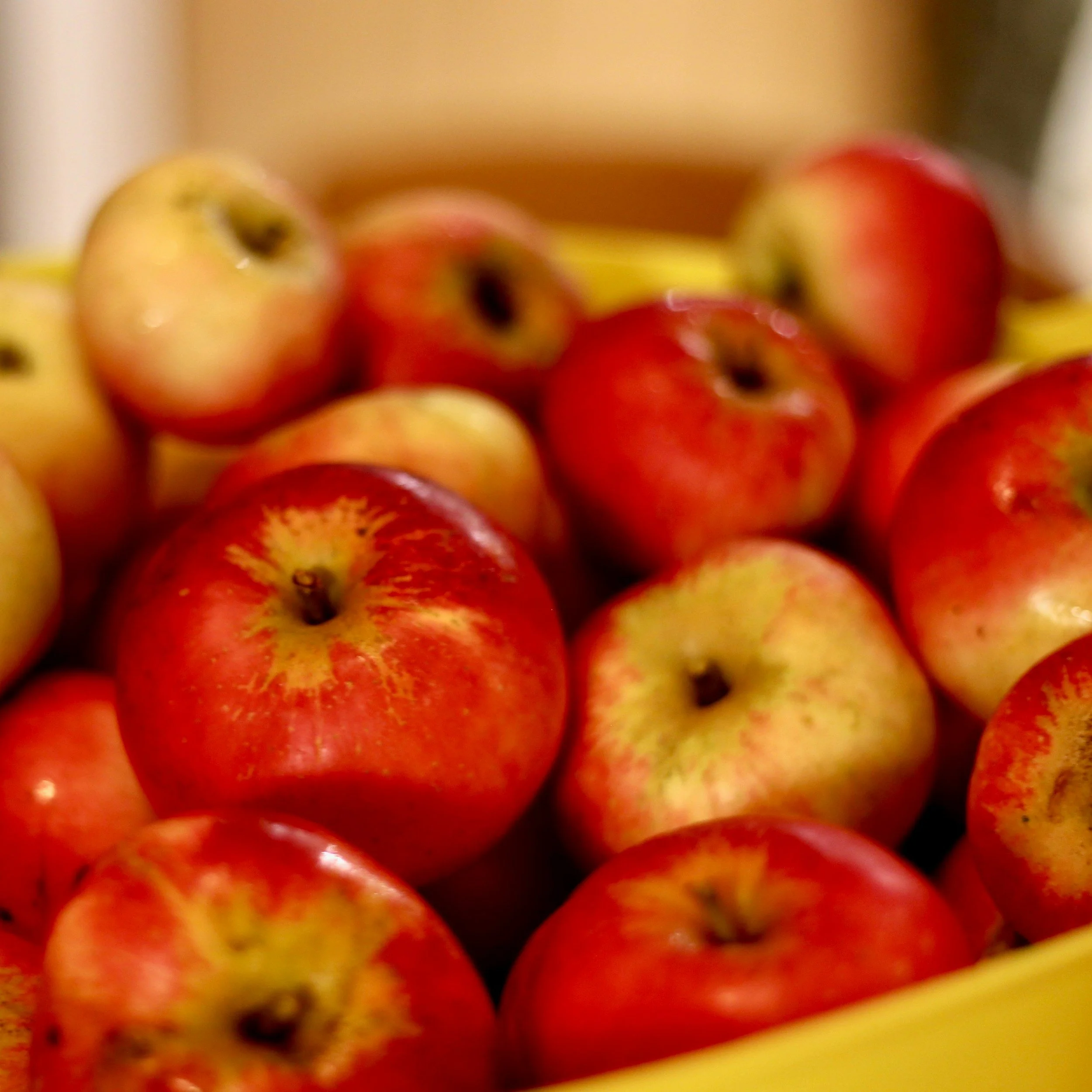 Train of Thought, Part 2: Towards Abundance 