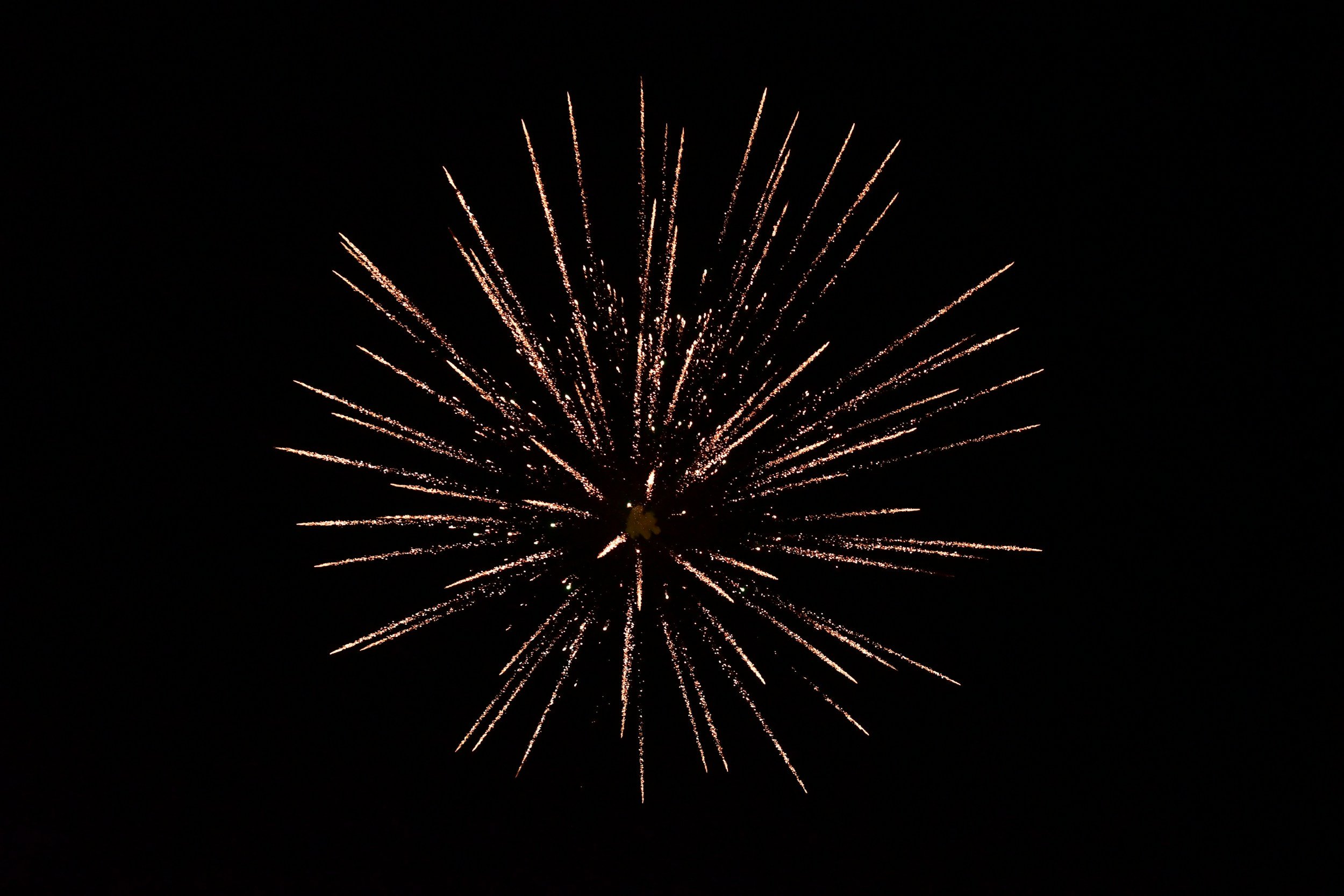 Freedom, Part 1: Sorry for Spoiling Your Fireworks