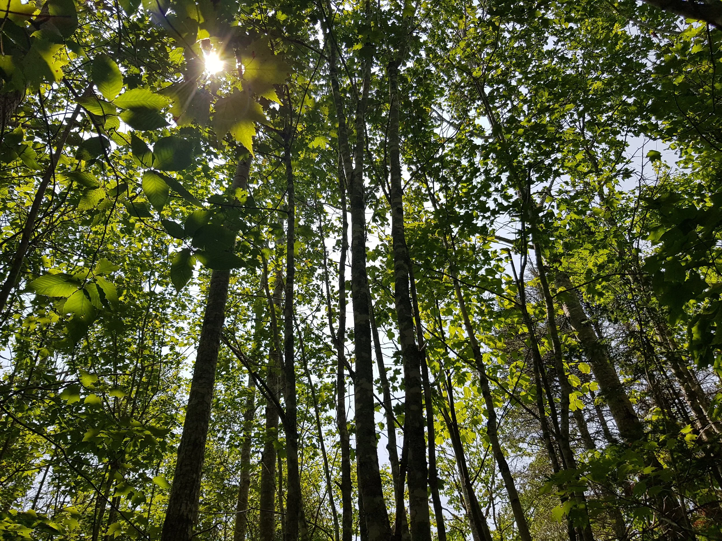 20230804_133037.jpg
