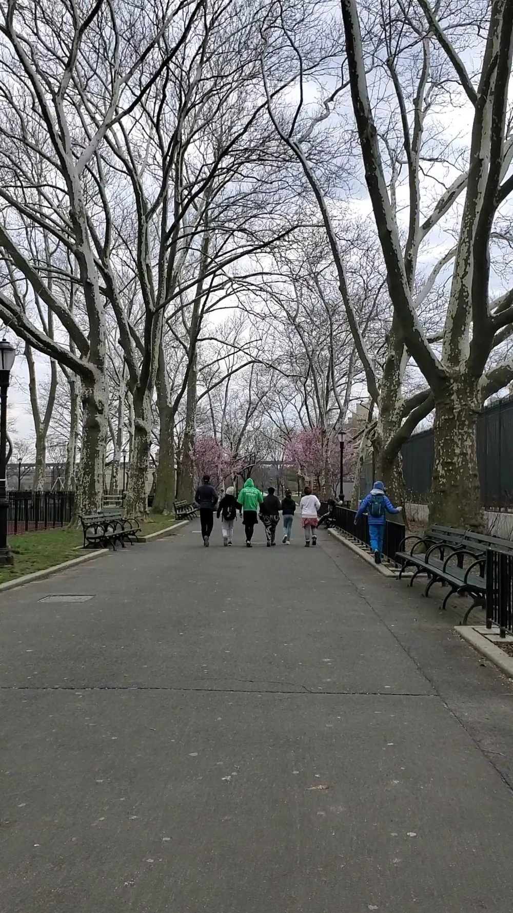 Agile Learning Centers Self Directed Education Communities