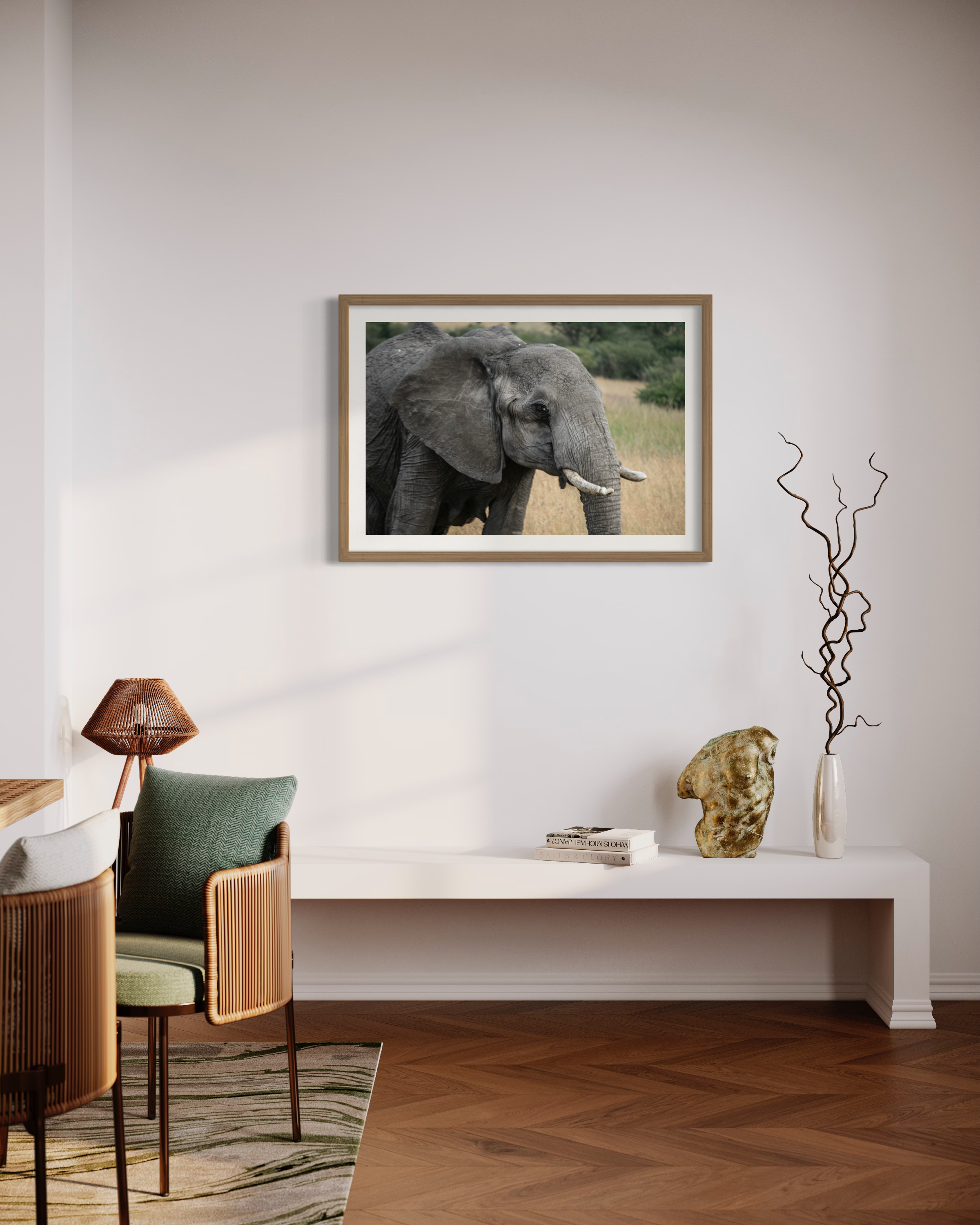 elephant oak 2.jpeg