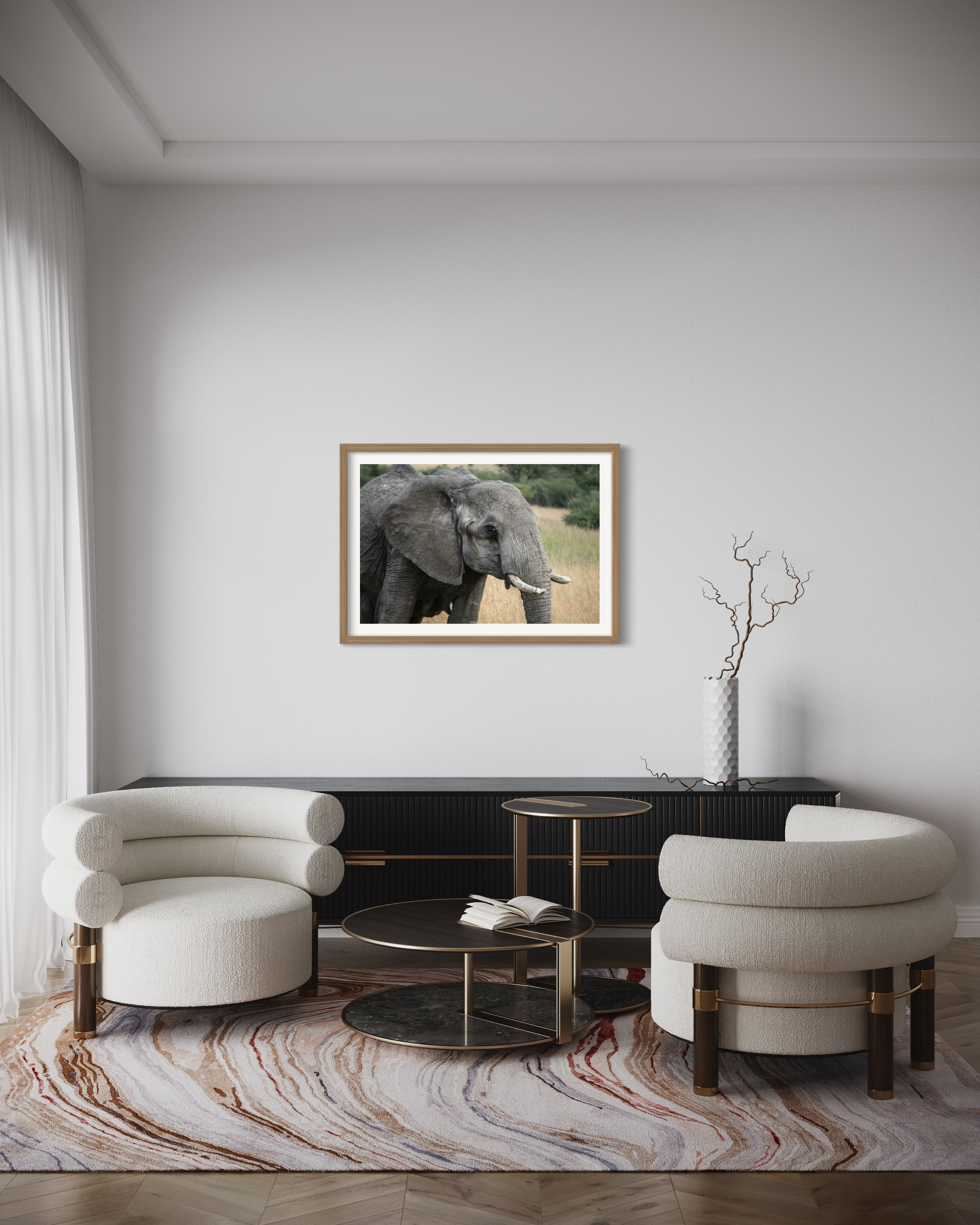 elephant oak 1.jpeg