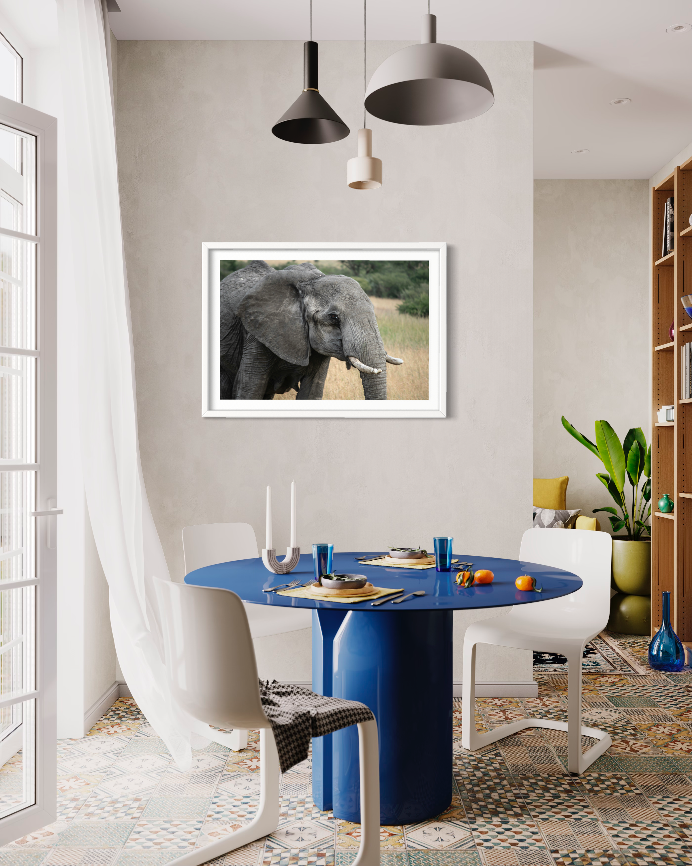 elephant white.jpeg