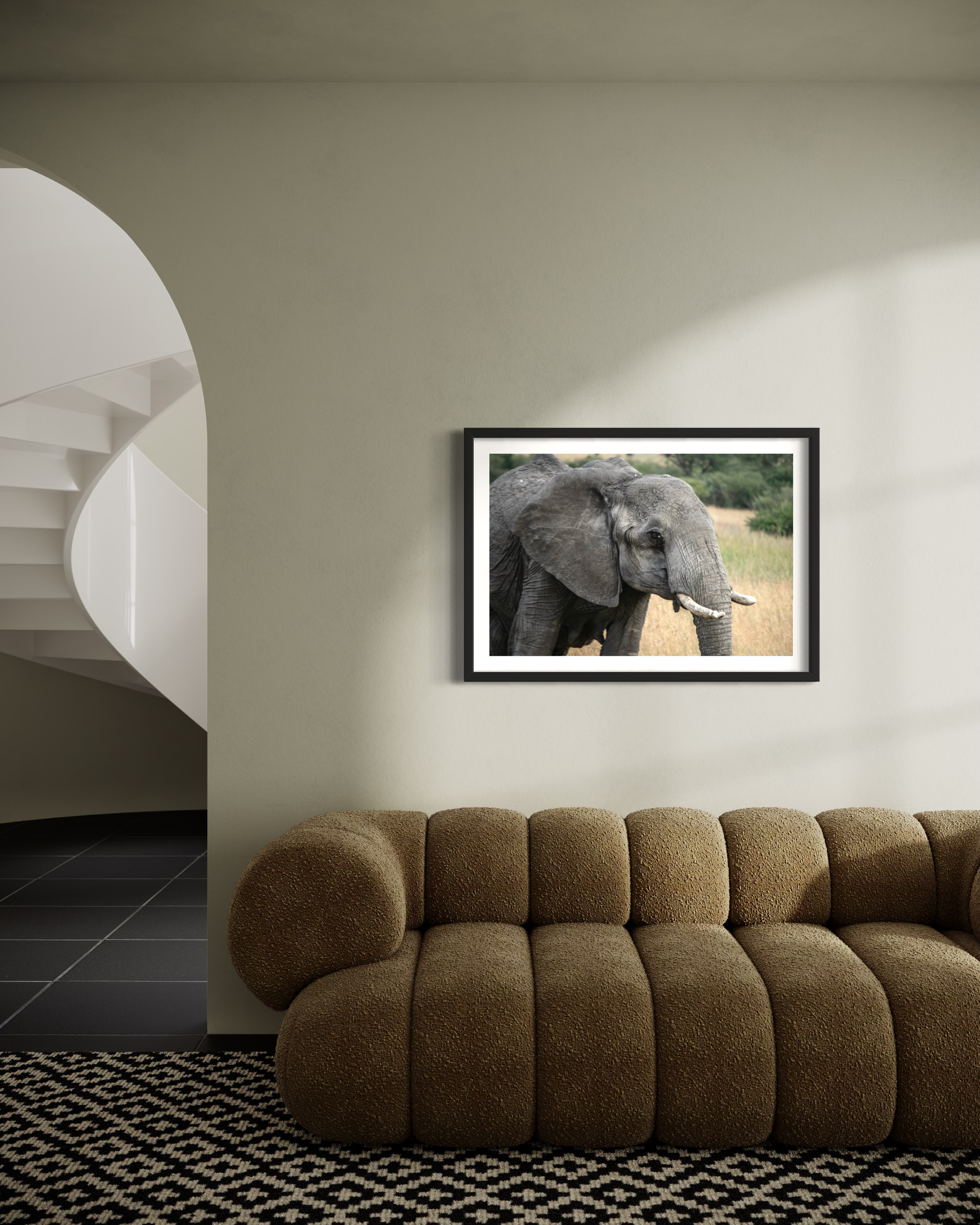 elephant black 1.jpeg