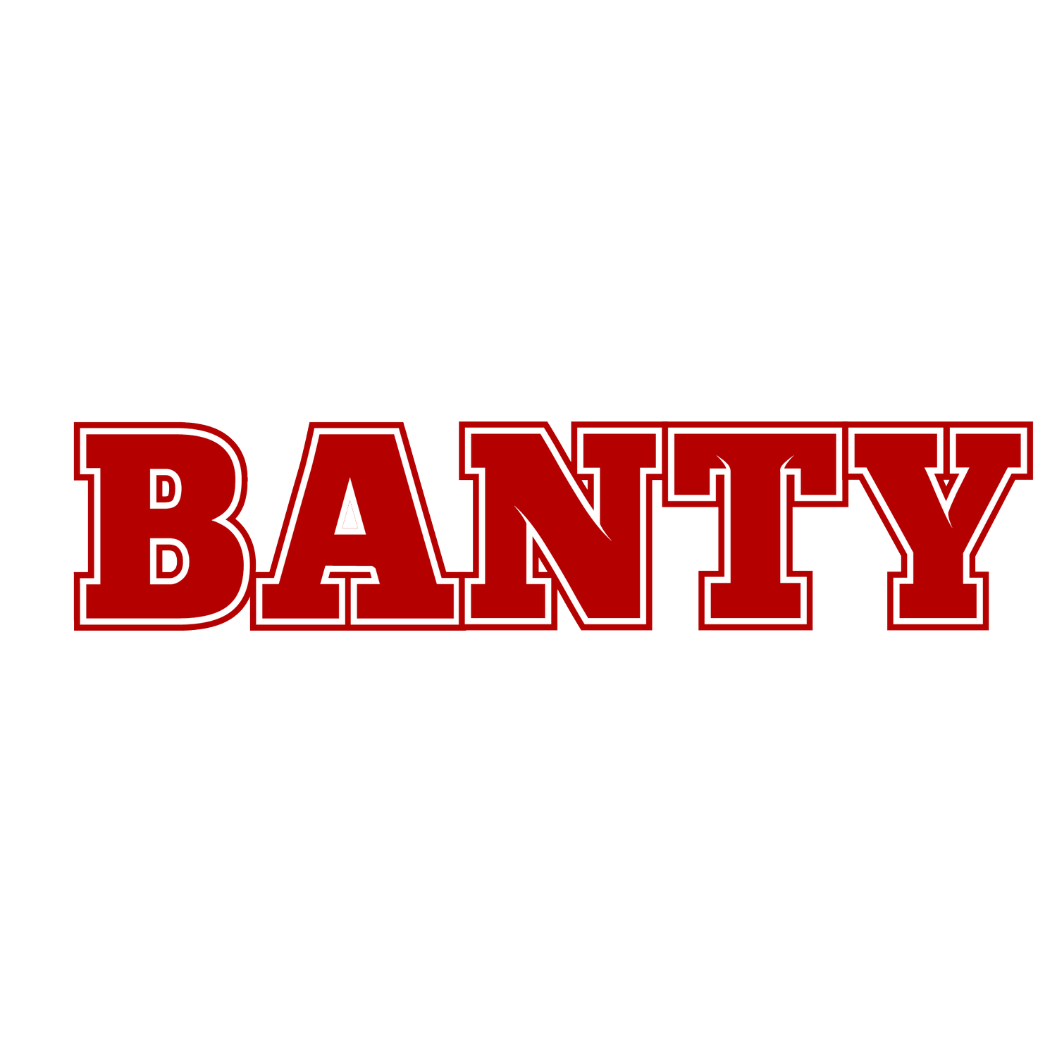 bantyenterprise.com
