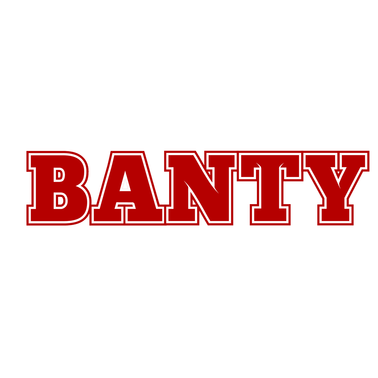 bantyenterprise.com