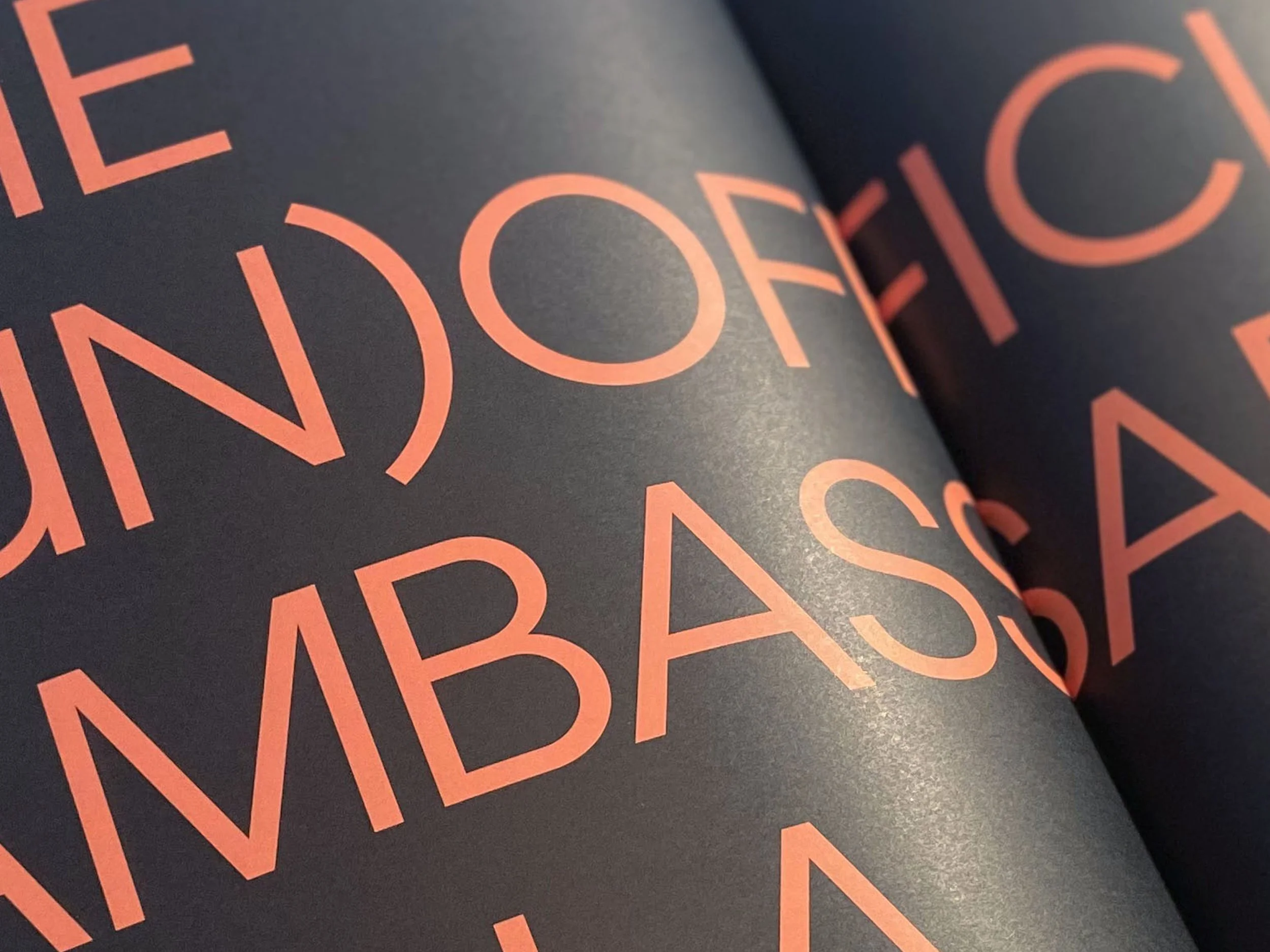 IMG_6973blue type.jpg