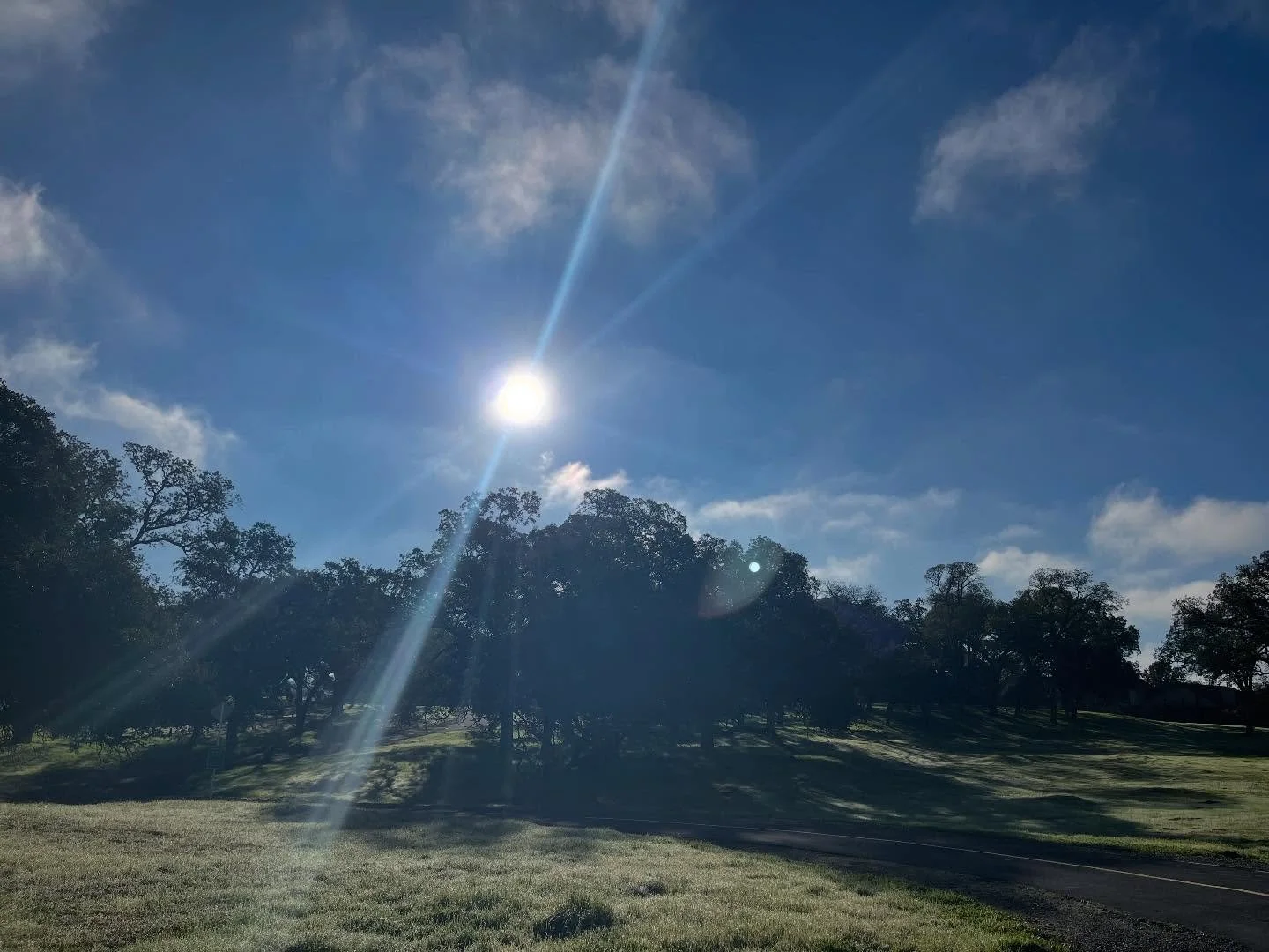 The chilly morning walk flew by yesterday!  Have a wonderful holiday week.  We&rsquo;re grateful for our community 💕