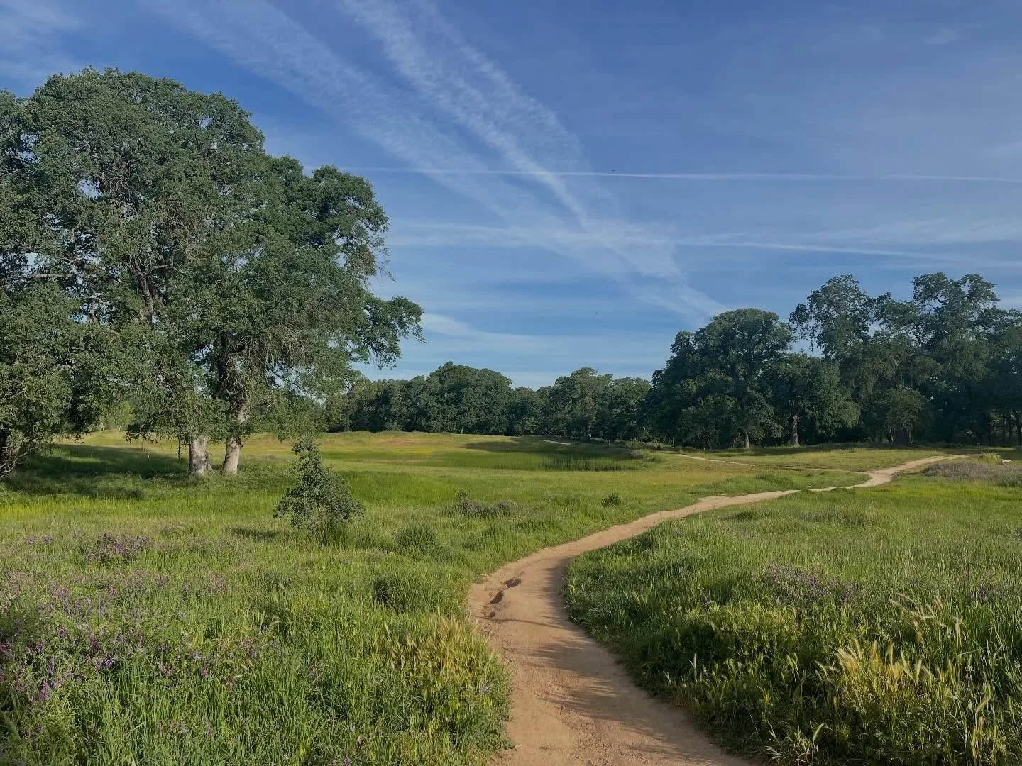 Sunshine and smiling faces for our monthly AAPI Placer Moms and Friends Walking Crew ☀️😊 Join us for our next walk on April 24th!