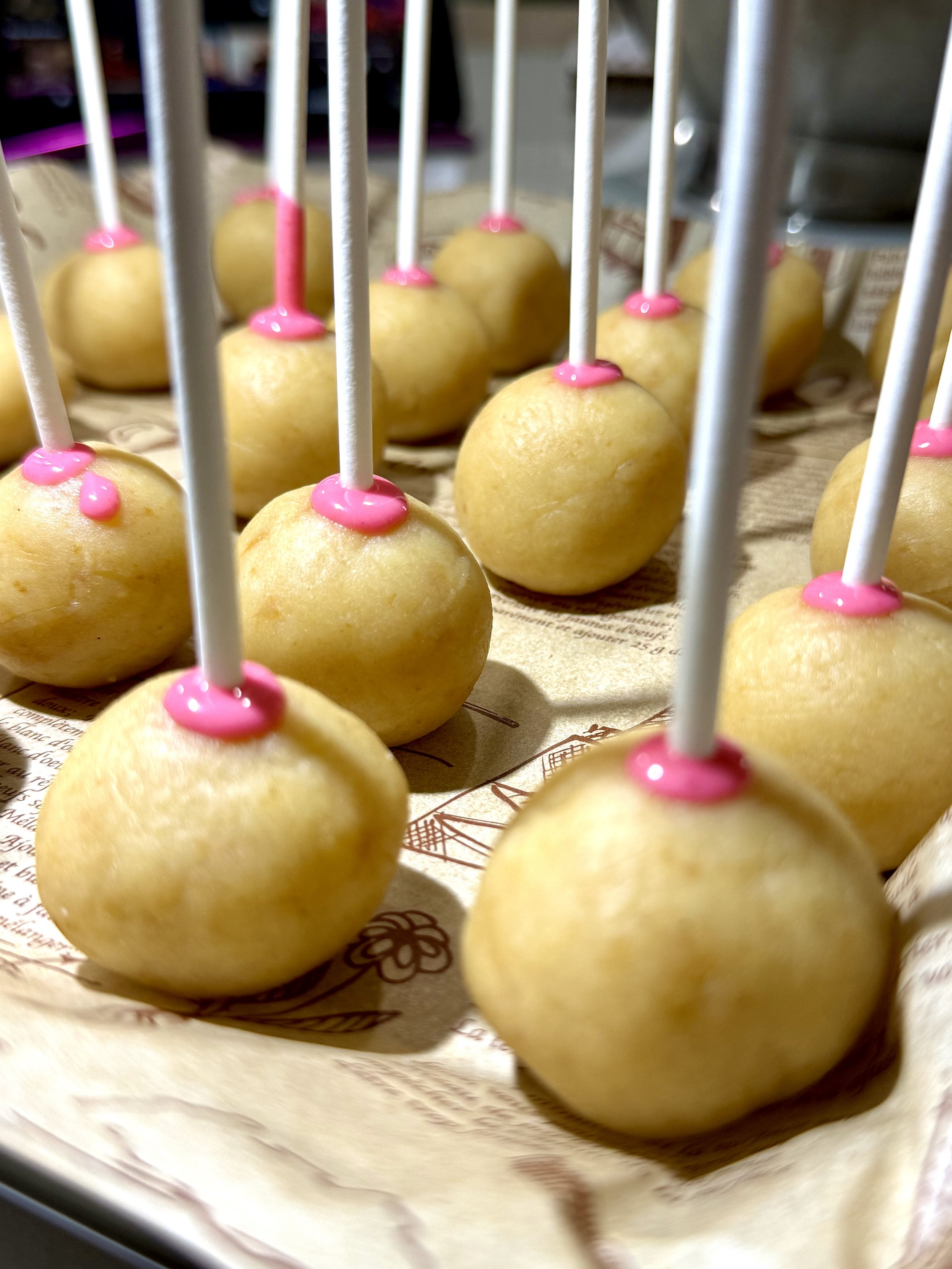 Pink cake pops standing upright on sticks to dry, glossy and smooth.