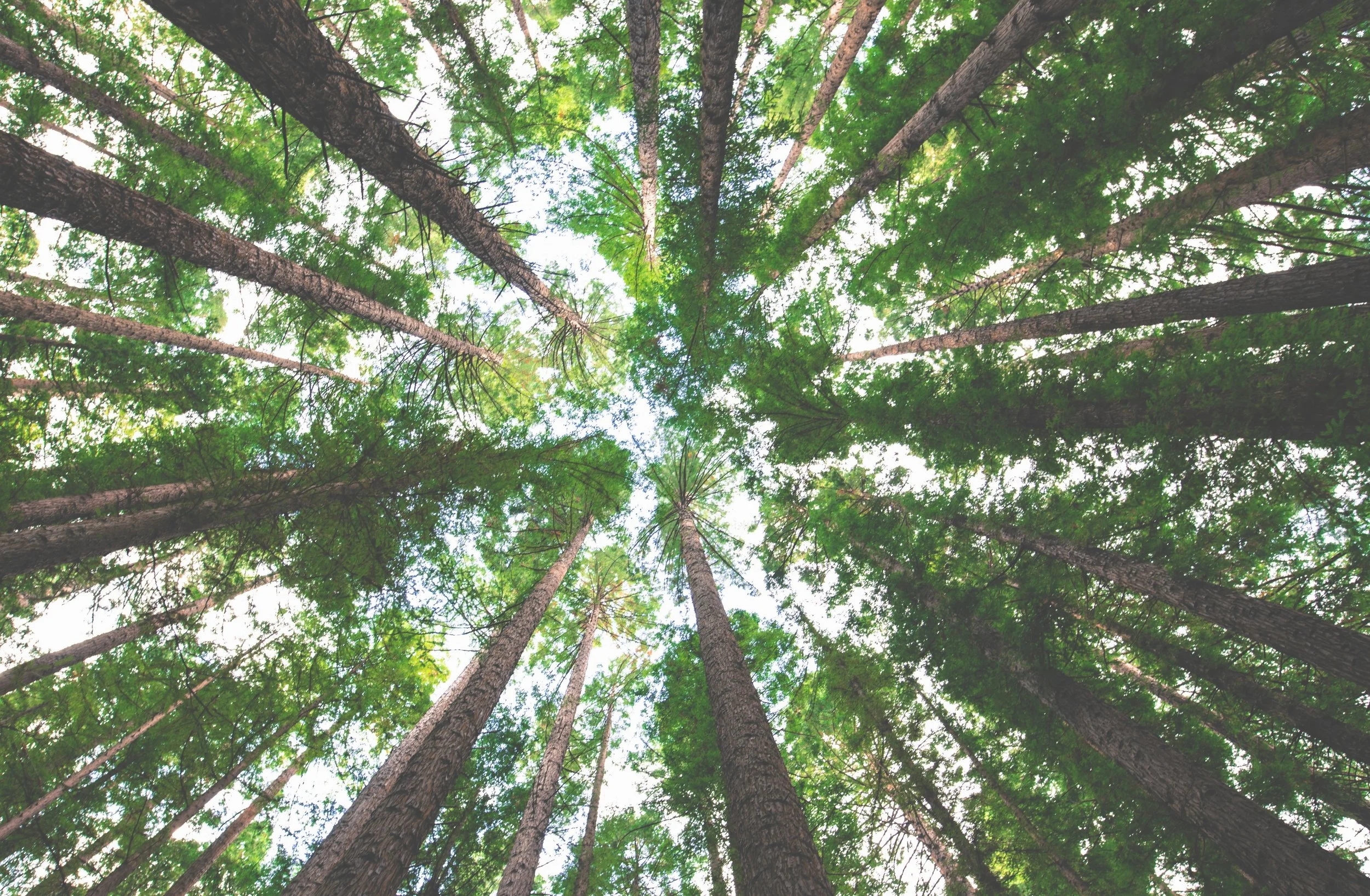 03: The Health Scare that Became My Origin Story