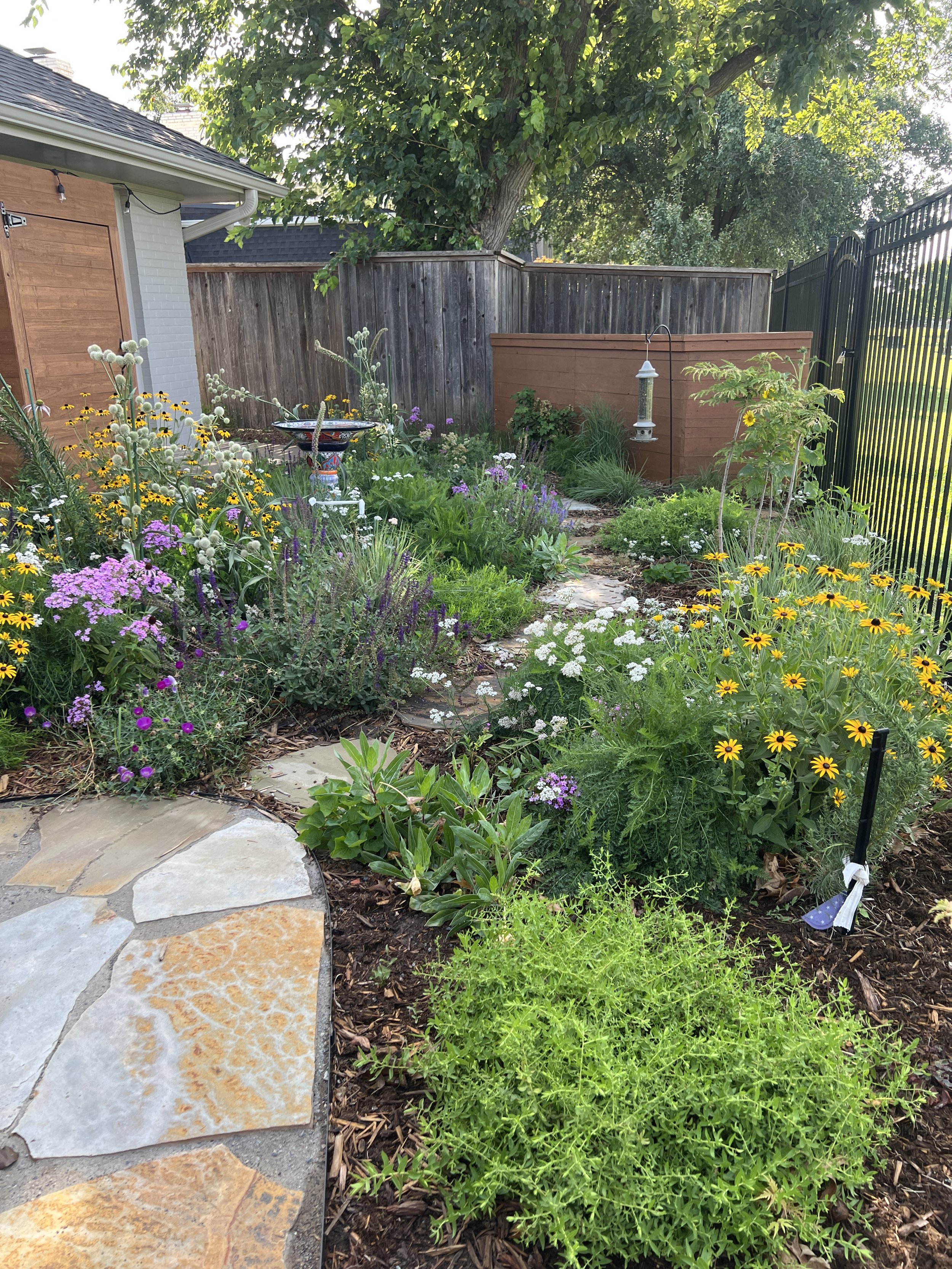 Tiny Backyard, Big Habitat