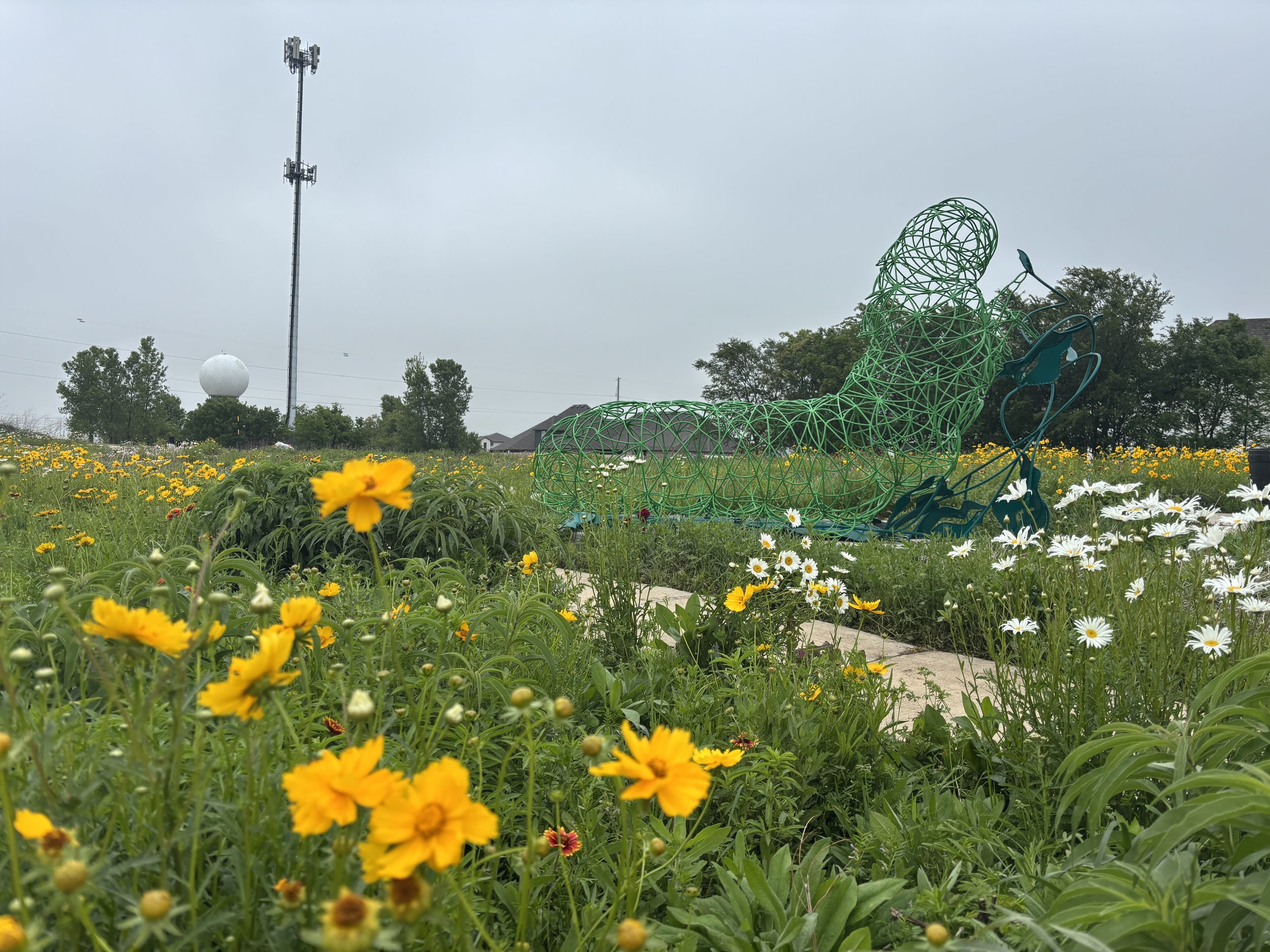 Carrington Pollinator Garden