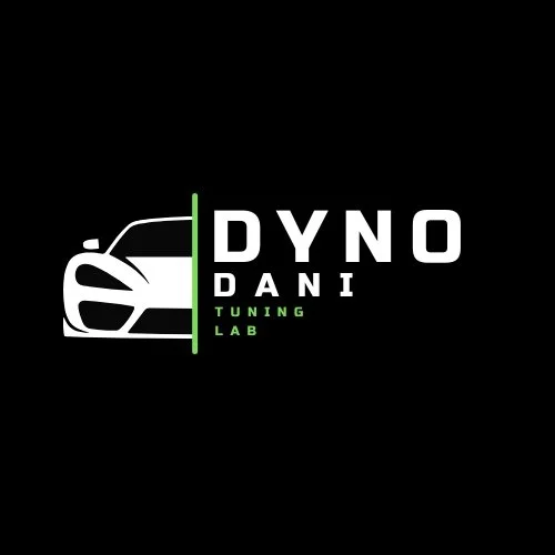 DynoDani Logo.jpg