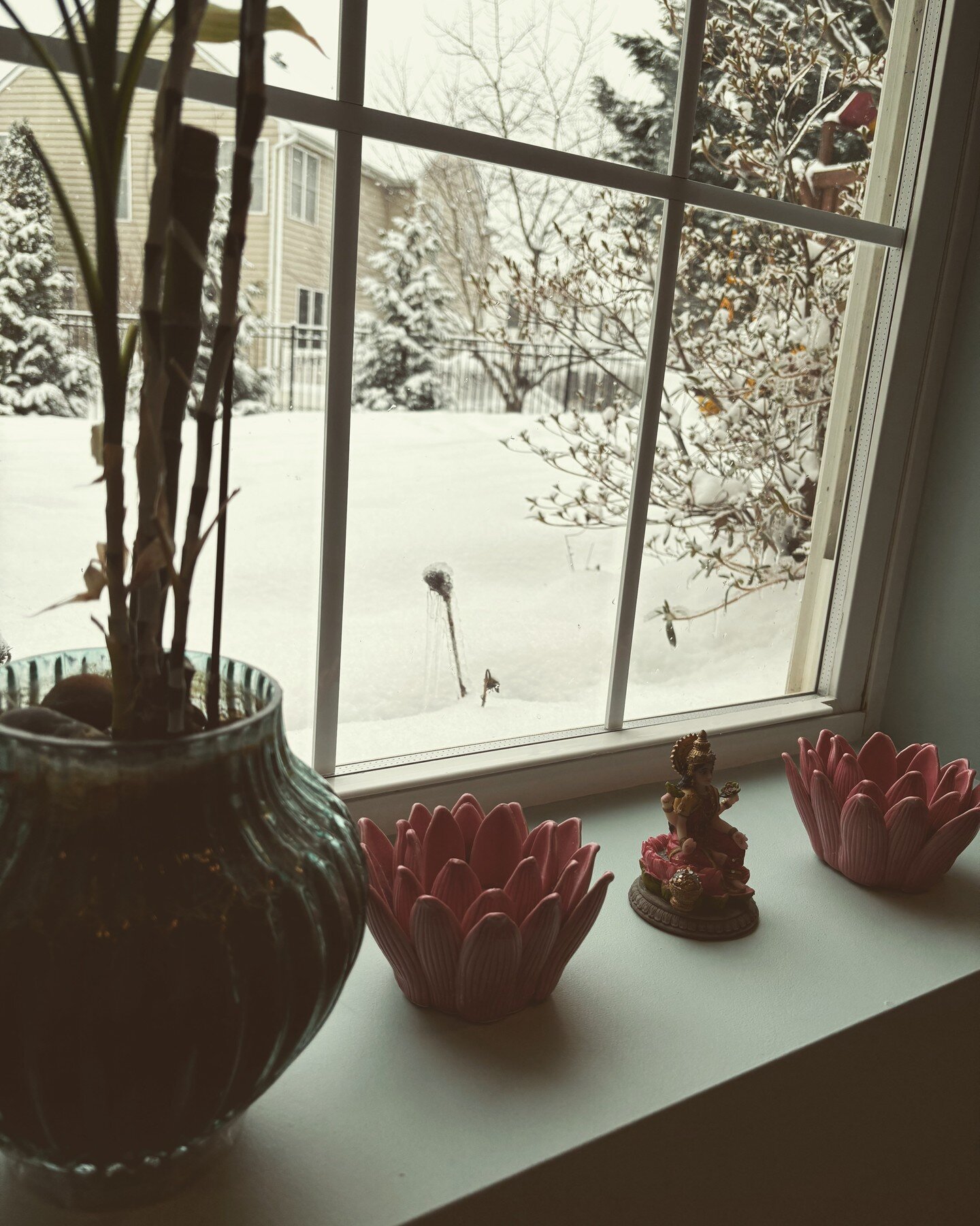 Winter in Chinese Medicine

What are the correspondences associated with the winter in Chinese medicine?

This is the time of rest, regeneration, and stillness. Winter is akin to the bulb in the ground, gathering resources, vibrating with potential, 