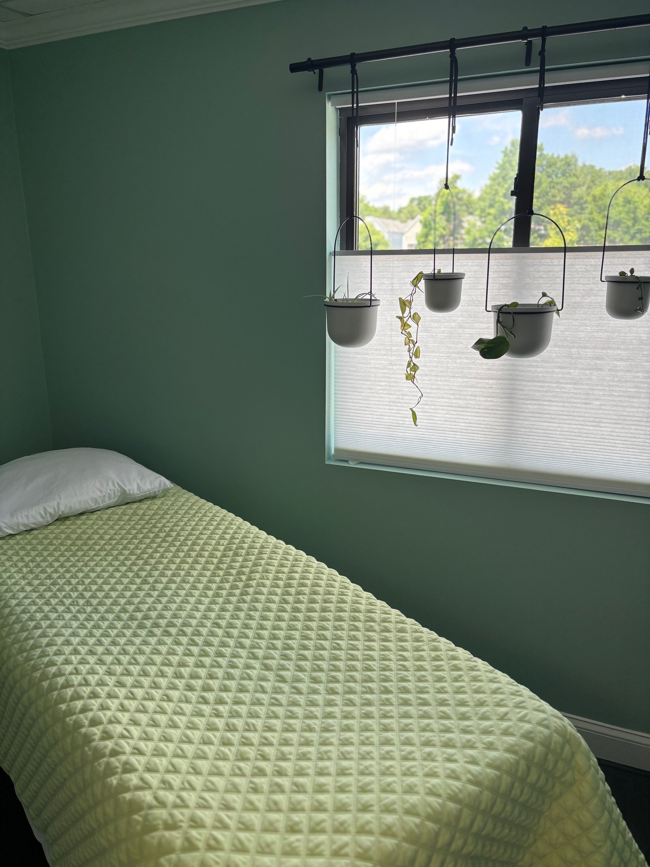 Calming wellness treatment room with a massage table, soft bedding, and hanging plants by a window.