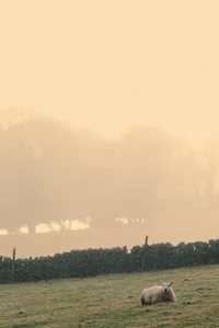 UK_Peak District_KZTAFP10147_00.jpg