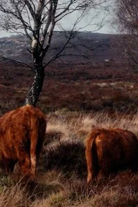 UK_Peak District_KZTAFP10145_0.jpg