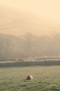 UK_Peak District_KZTAFP10148_000.jpg