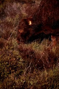 UK_Peak District_KZTAFP10144_0.jpg