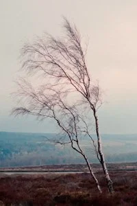 UK_Peak District_KZTAFP10143_0.jpg