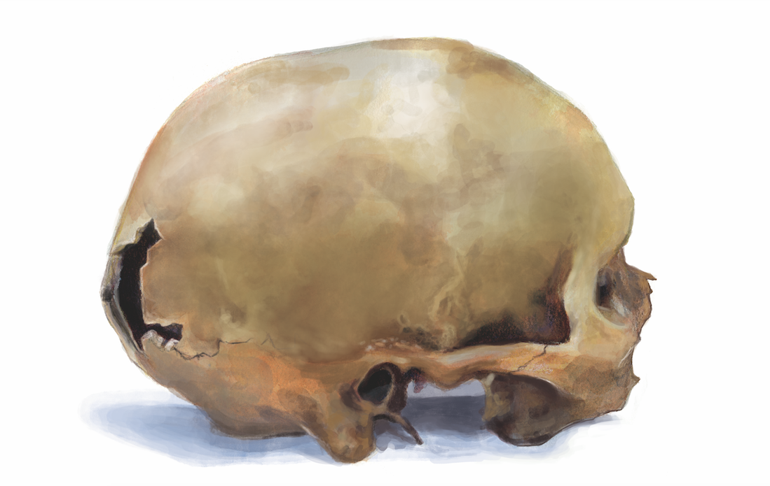 skull+for+BC+site.png