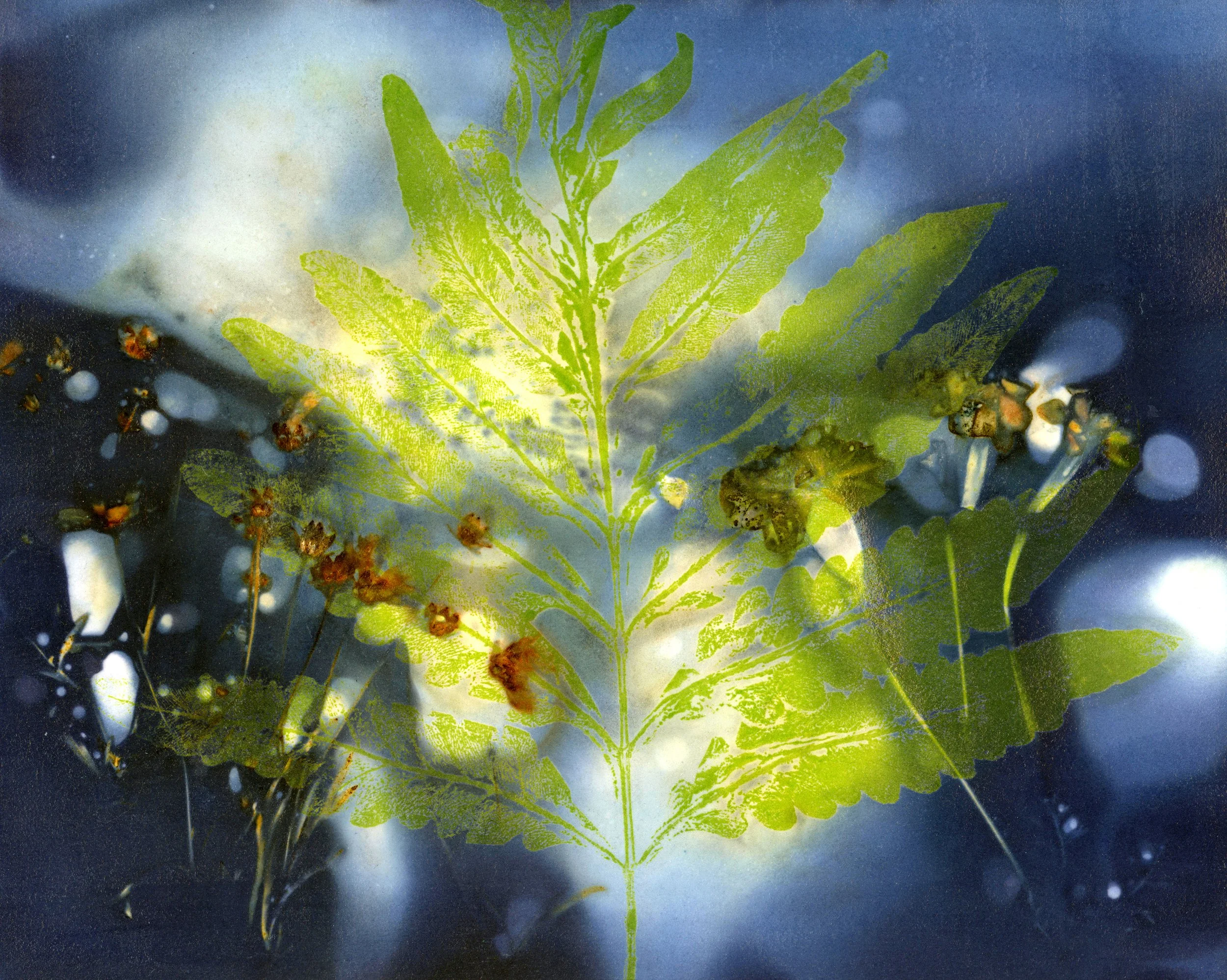 "Mixed Batch" Watercolor, ink, and dye on paper. Image size: 11 in x 14 in. Framed size 19.5 in. x 21.5 in. $600.00 Copyright 2026 Beth MacNeil Stinson. All rights reserved.