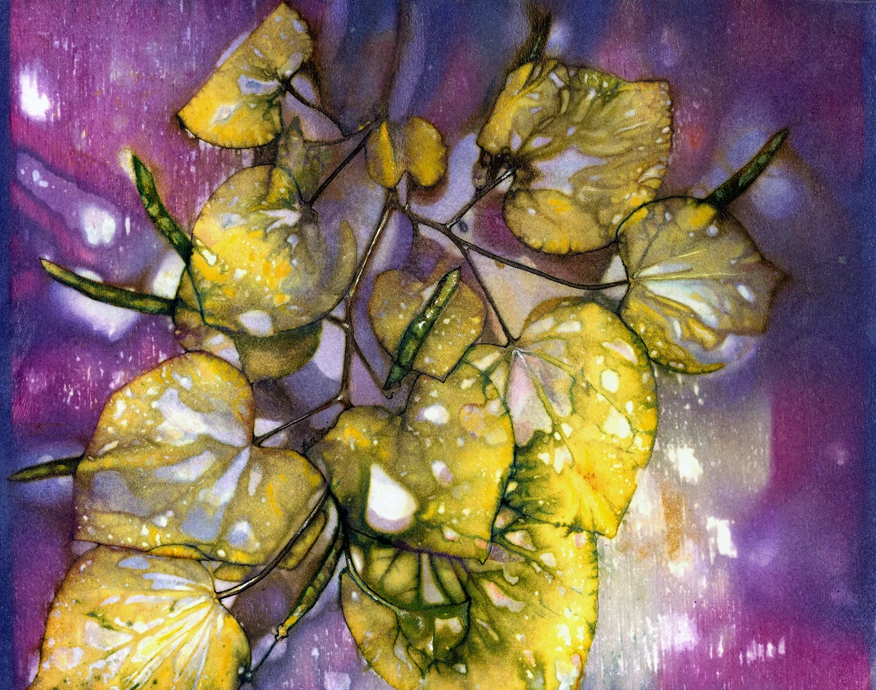 "Merlot Redbuds" Watercolor, ink, and dye on paper. Image size: 9.25 in x 12.25 in. Framed size 15 in. x 18 in. $500.00 Copyright 2025 Beth MacNeil Stinson. All rights reserved.