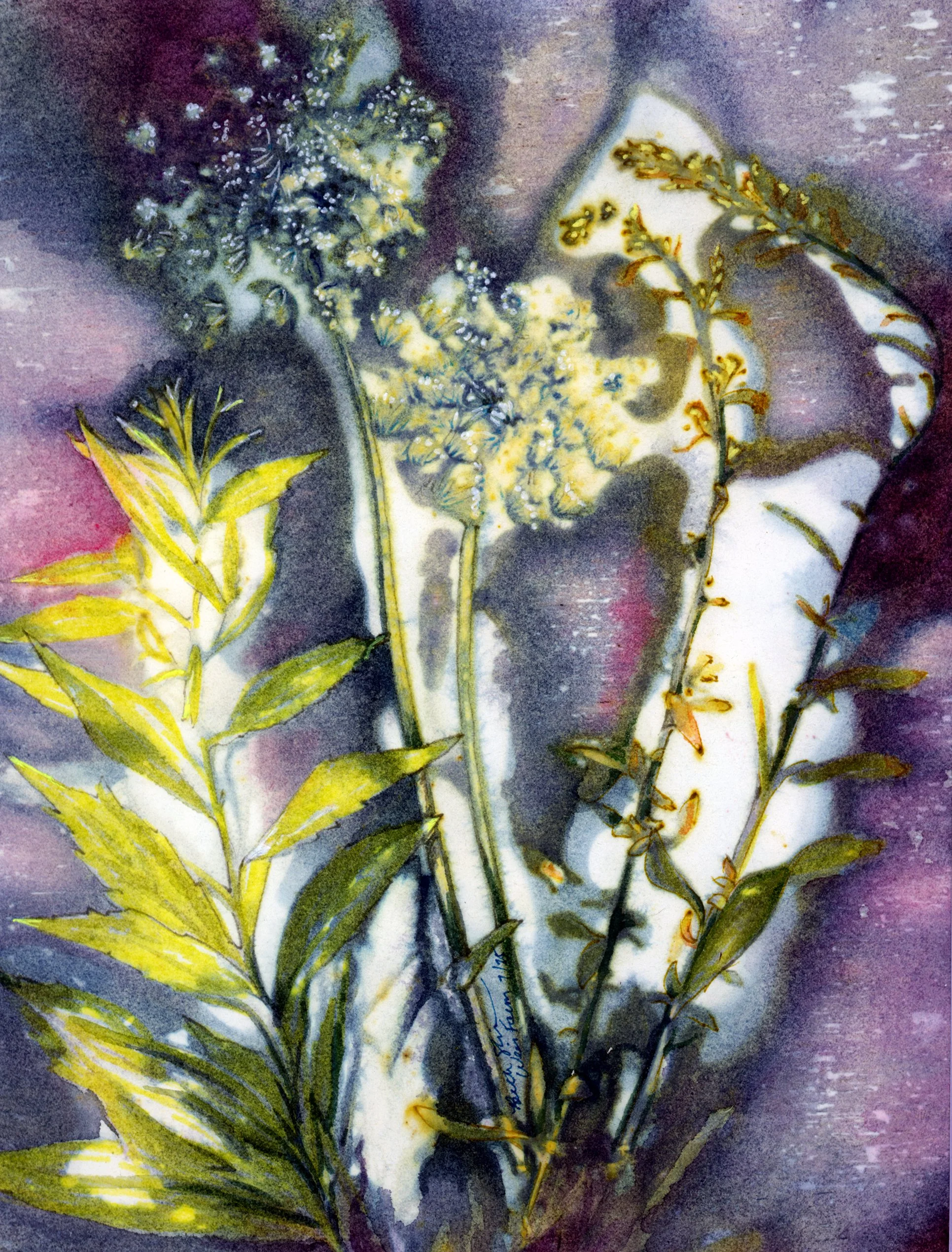 "Weir Preserve" Watercolor, ink, and dye on paper. Image size: 7 in x 8.75 in. Framed size 11 in. x 13 in. $275.00 Copyright 2025 Beth MacNeil Stinson. All rights reserved.