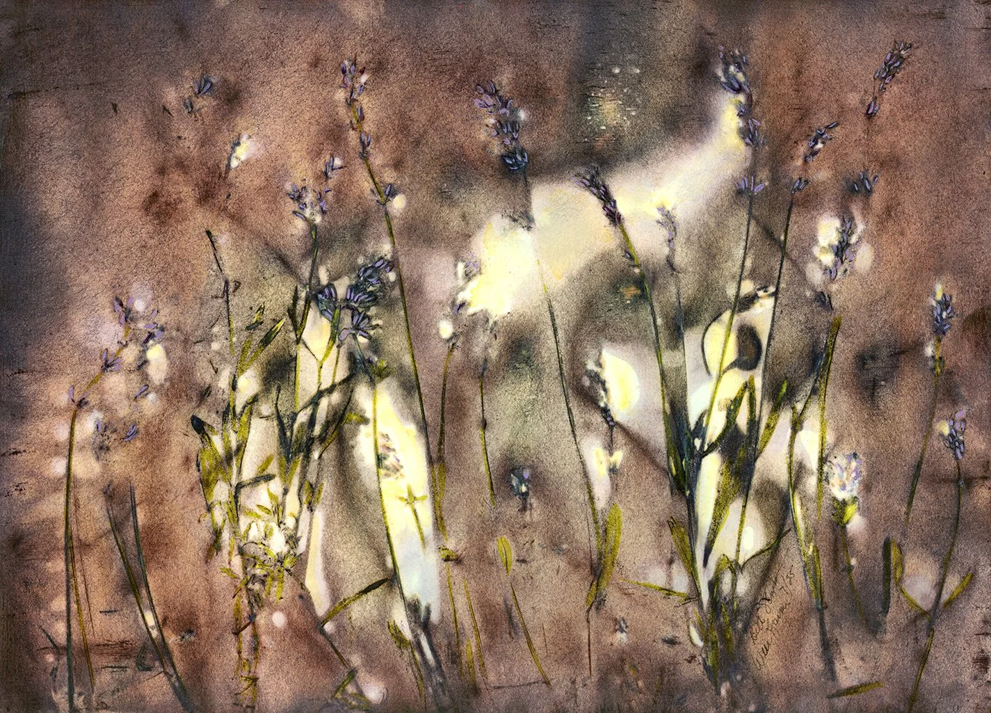 "Weir Farm Lavender" Watercolor, ink and dye on paper. Image size 13 in. x 11 in. Framed size 17 in. x 15 in. $600 Copyright 2025 Beth MacNeil Stinson. All rights reserved.