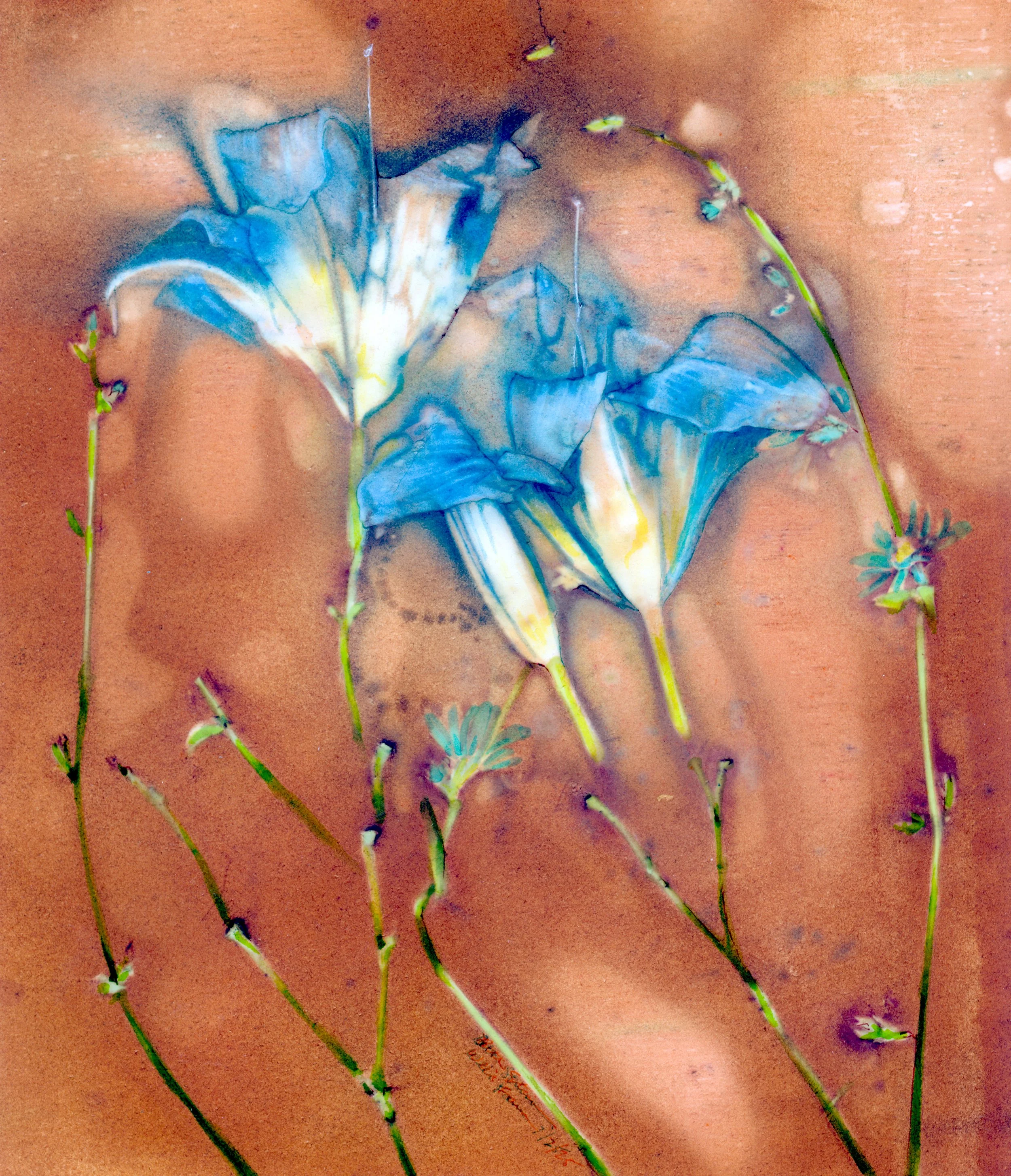 "Day Lilies and Chicory" Watercolor, ink, and dye on paper. Image size: 9.25 in x 10.25 in. Framed size 15 in. x 16 in. $450.00 Copyright 2025 Beth MacNeil Stinson. All rights reserved.