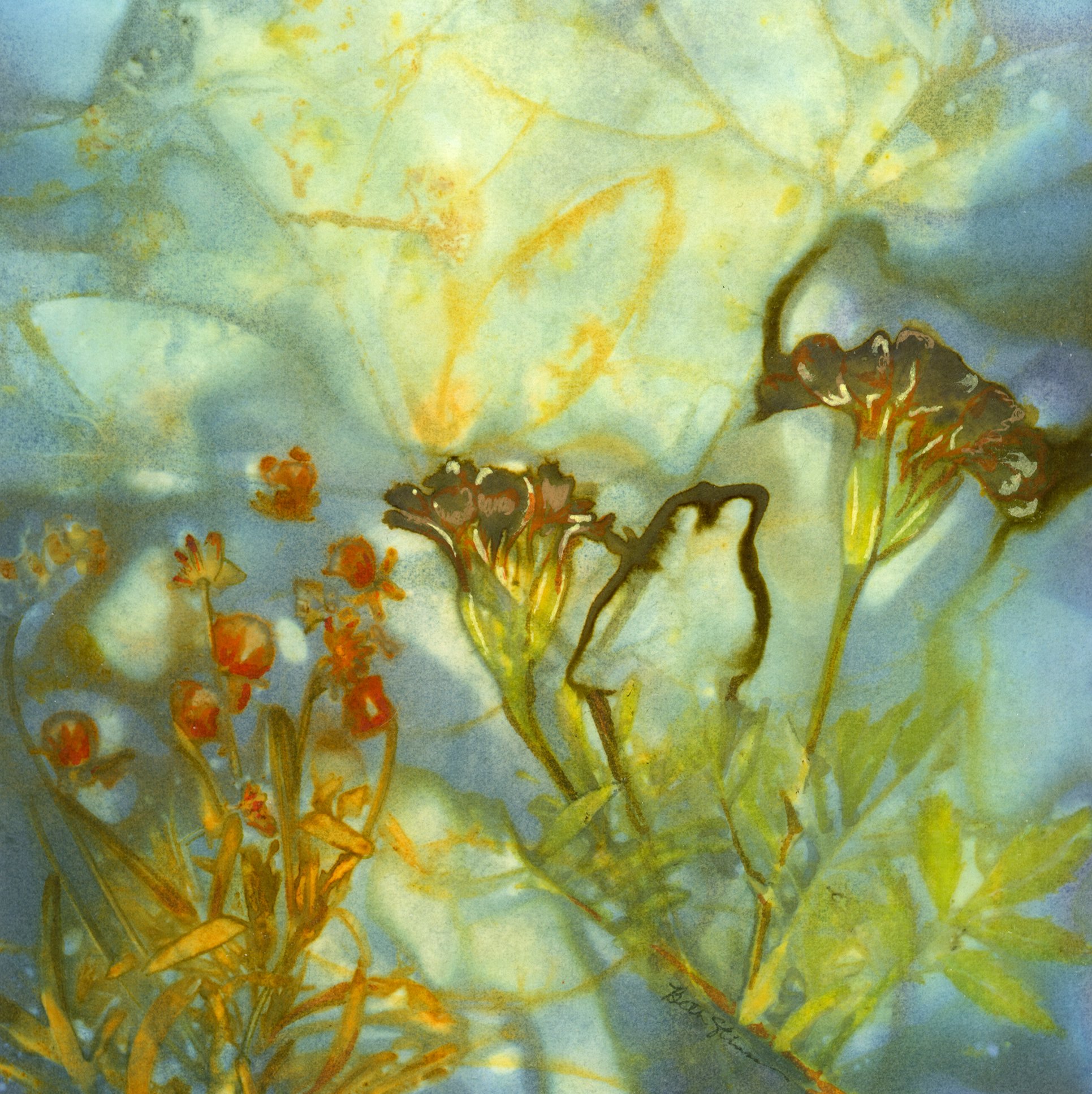 "My Marigolds" Watercolor, ink, and dye on paper. Image size: 6.5 in x 6.5 in. Framed size 11 in. x 11 in. $250.00 Copyright 2025 Beth MacNeil Stinson. All rights reserved.