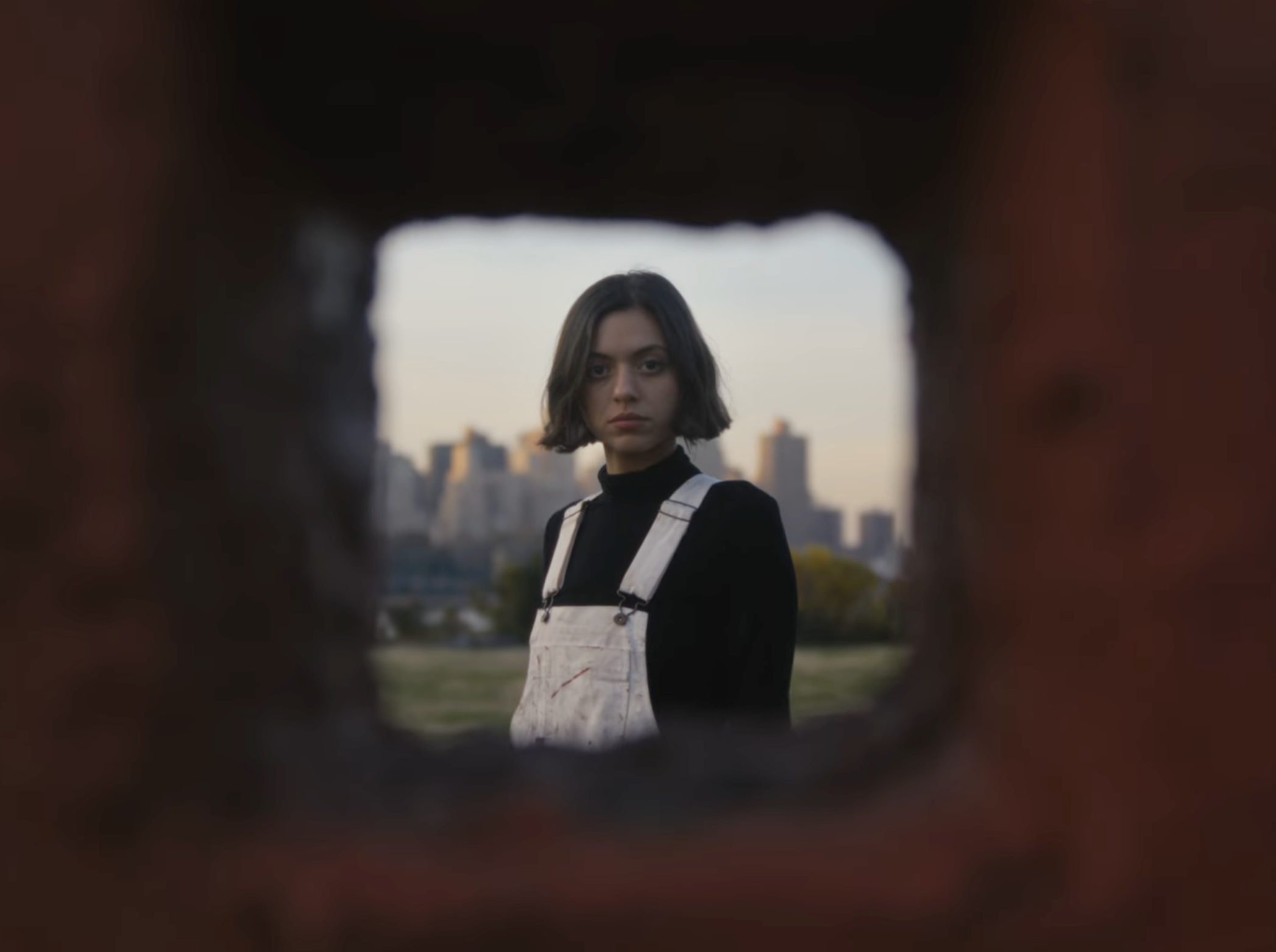 Vilcek Foundation Films