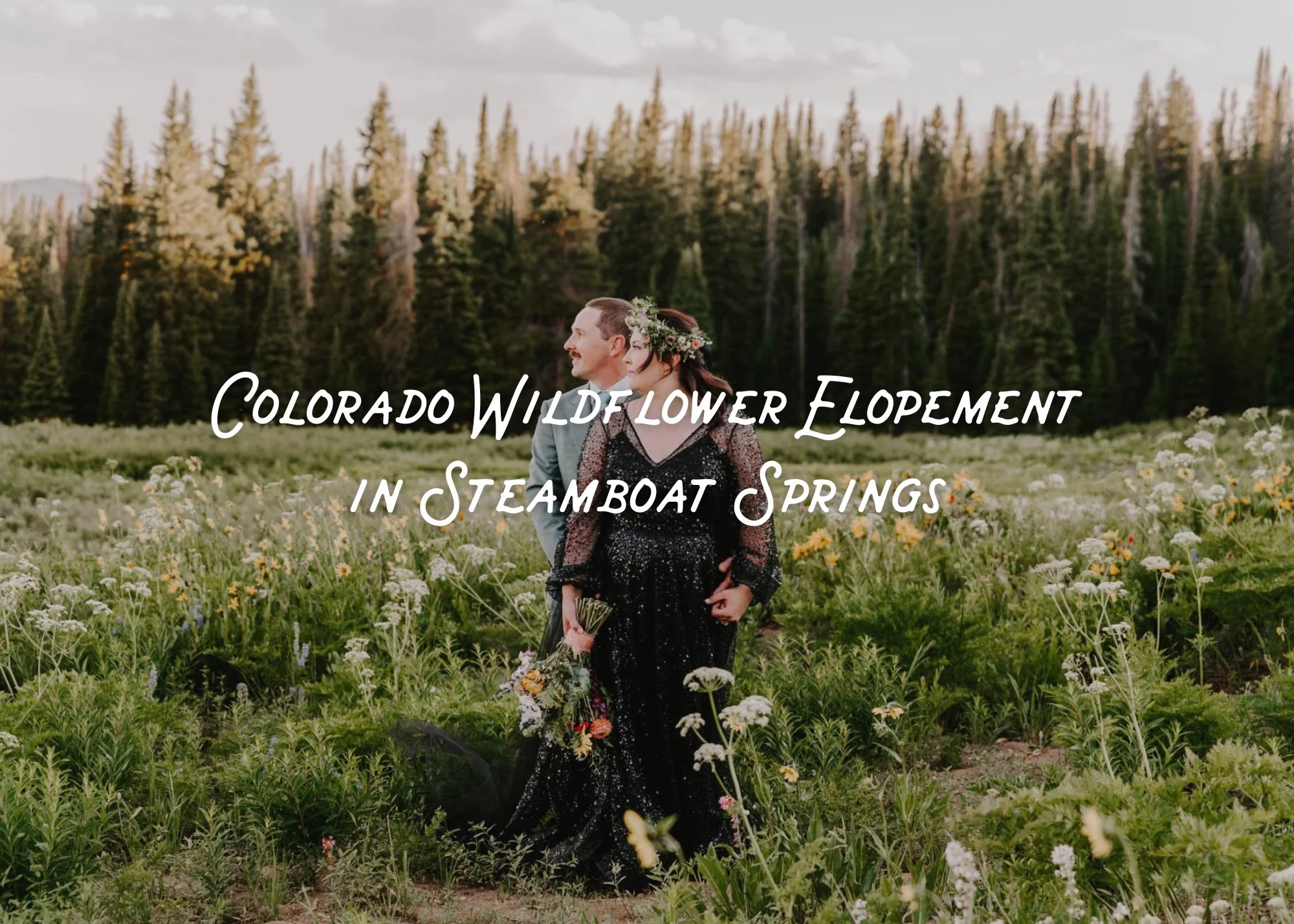 Couple eloping in Colorado surrounded by wildflowers