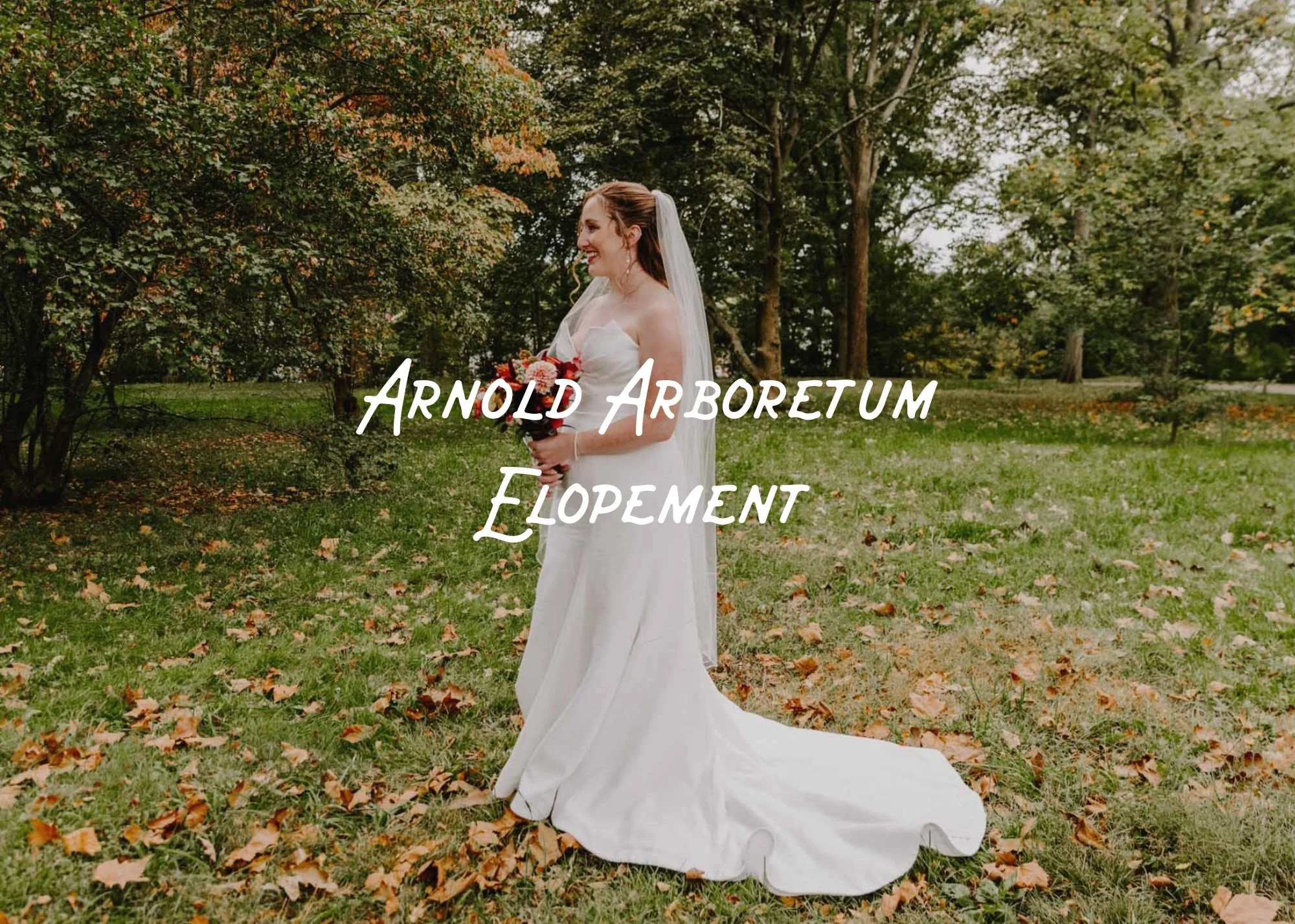 Arnold Arboretum Elopement
