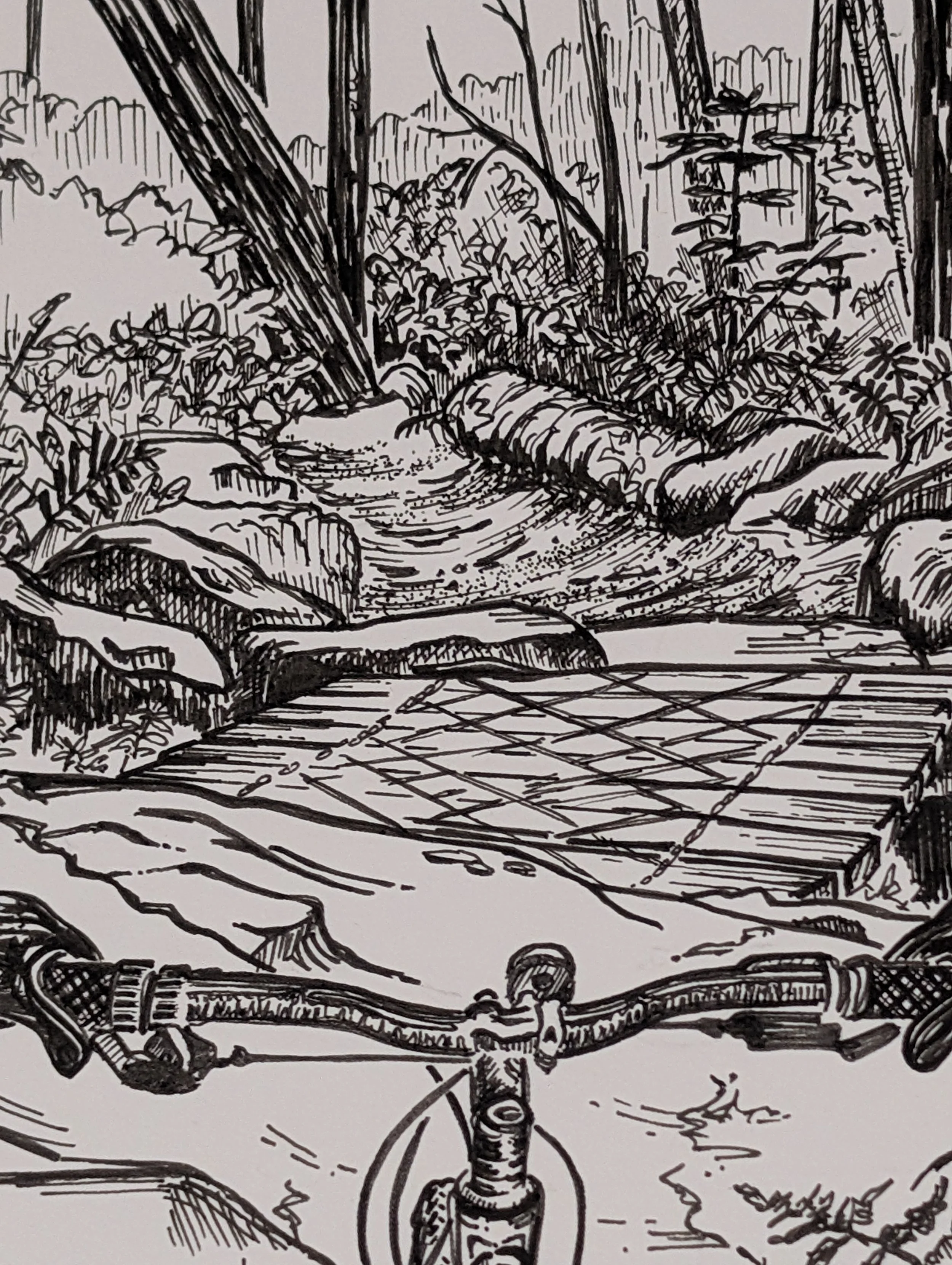 Mountain Bike Story Starter: Paying Attention