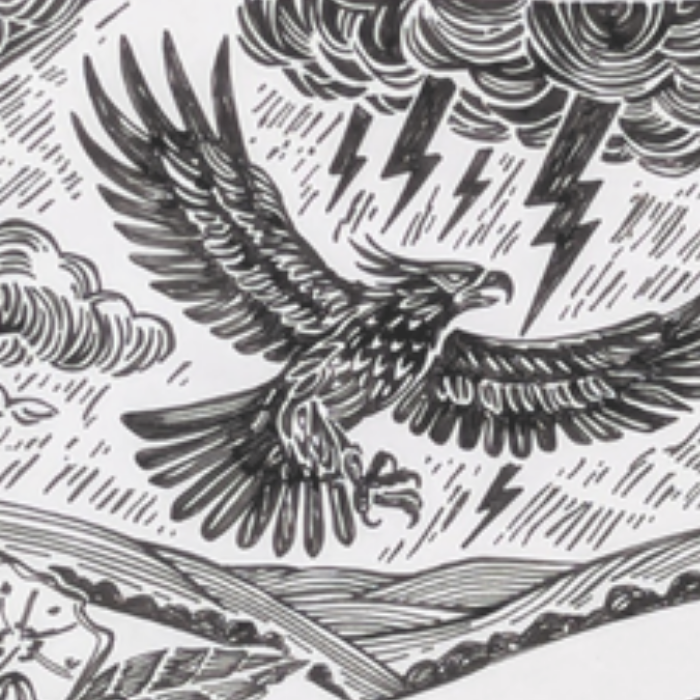 Thunderbird Story Starter: After the Storm